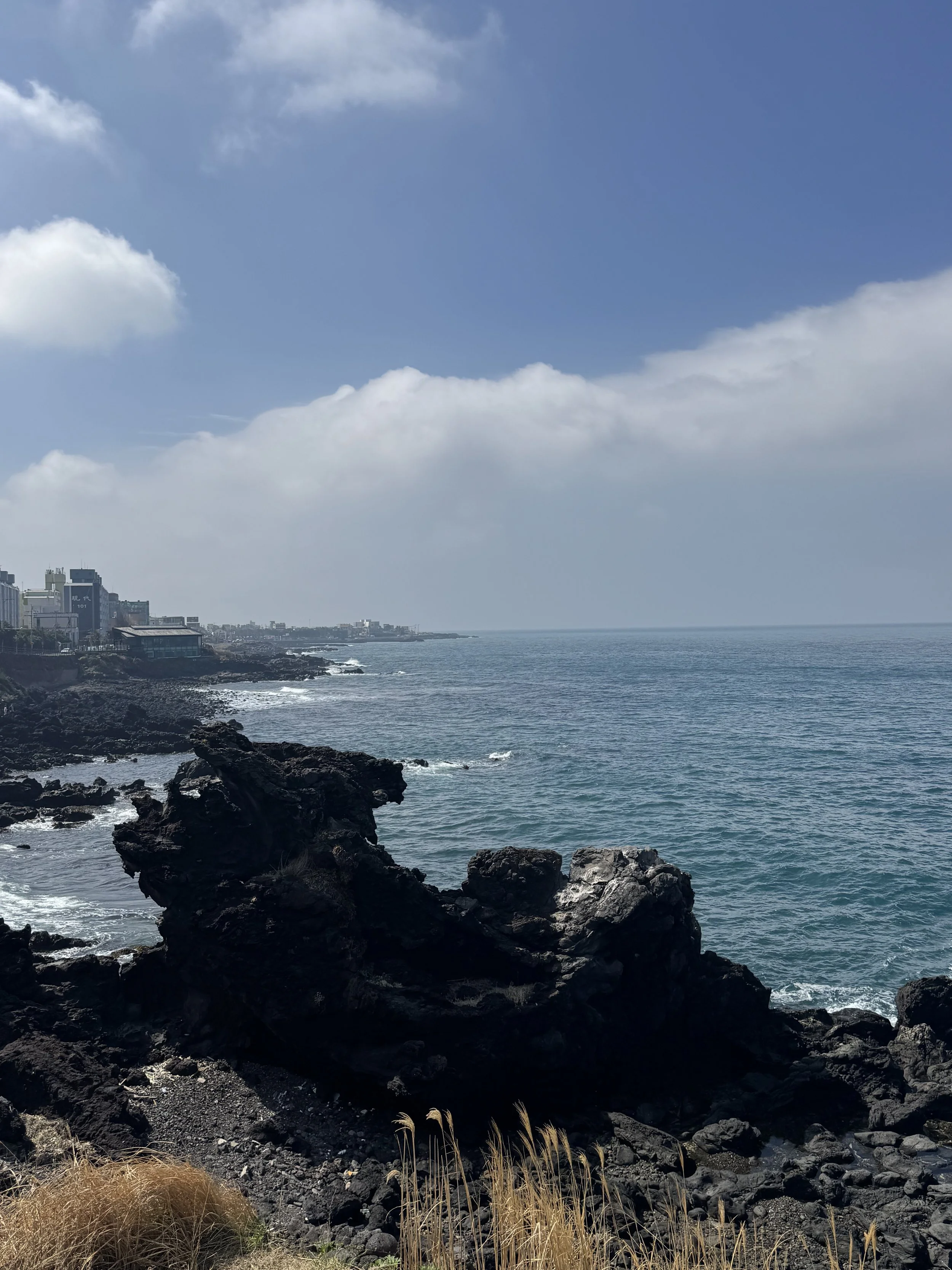 IMG_4488.jpeg