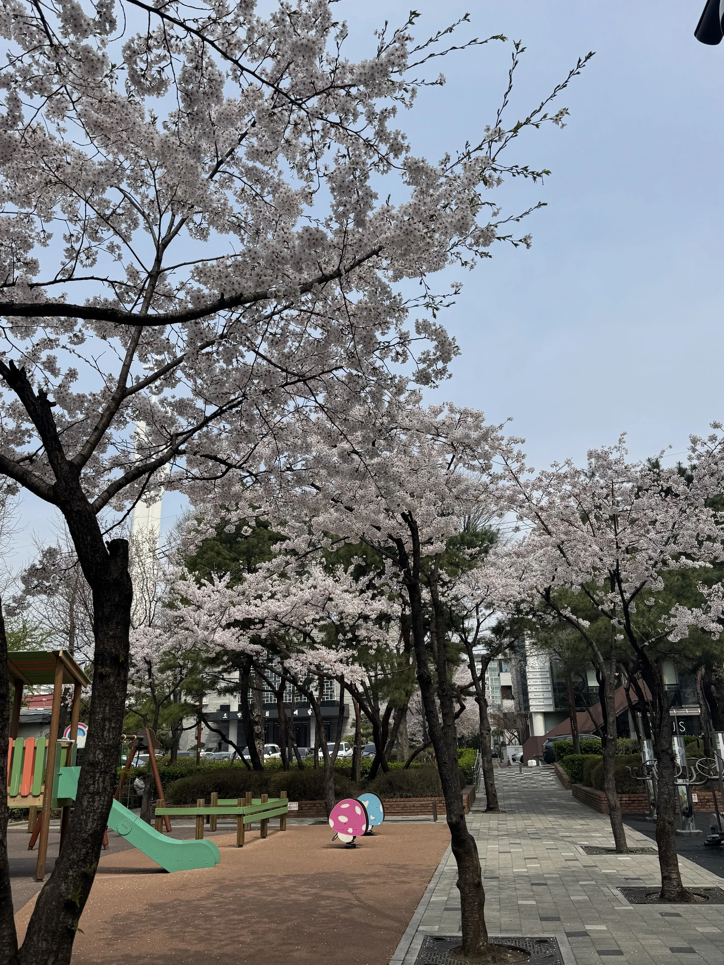 IMG_4542.jpeg