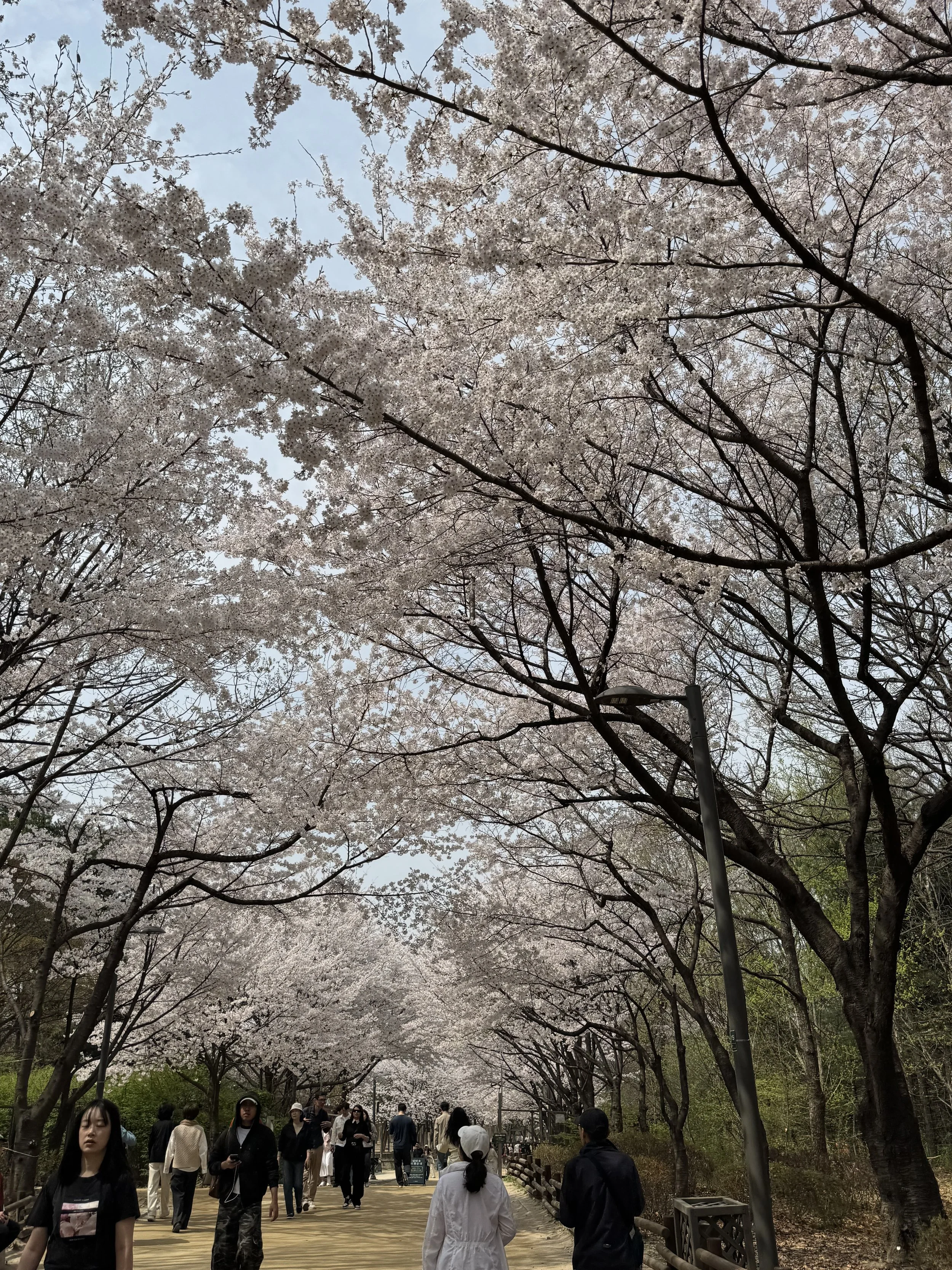 IMG_4556.jpeg