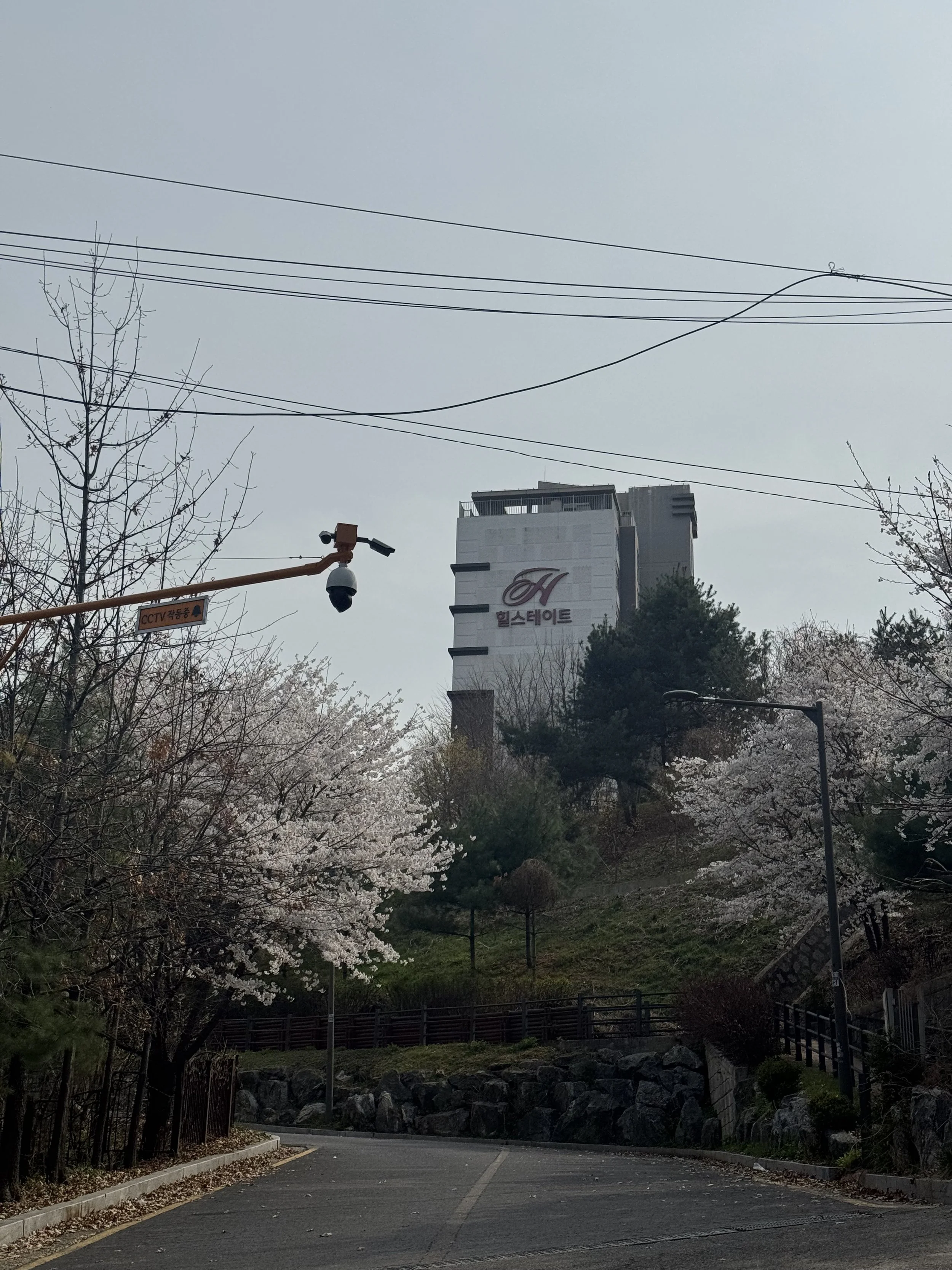 IMG_4562.jpeg