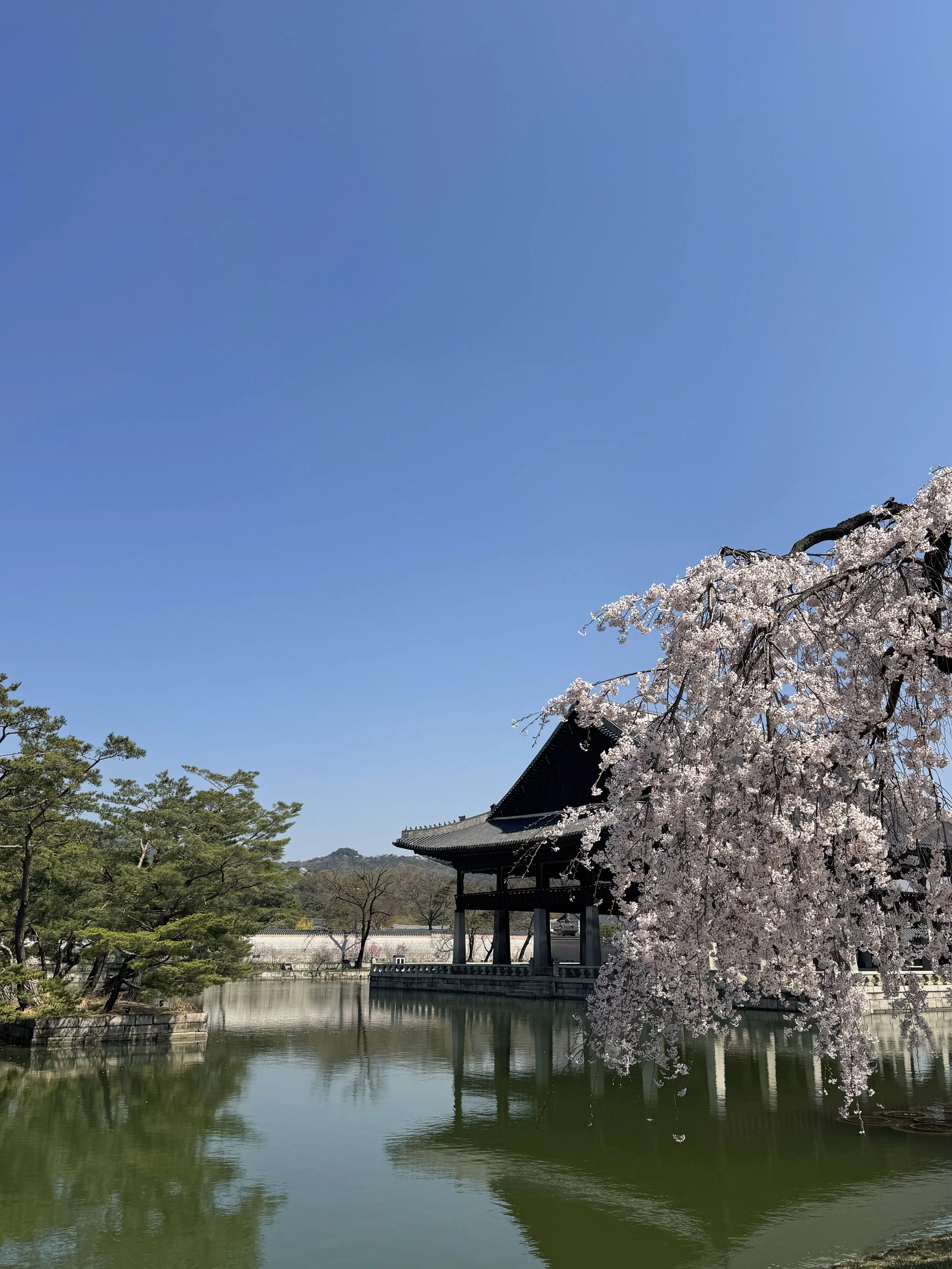 IMG_4601.jpeg