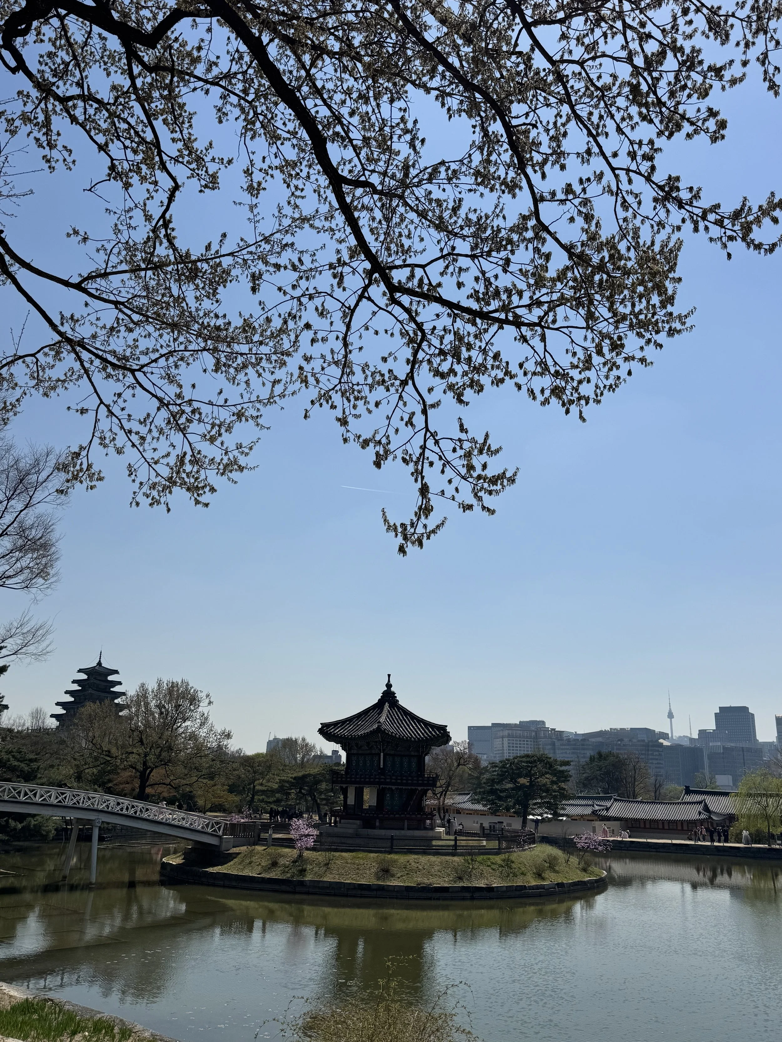 IMG_4609.jpeg
