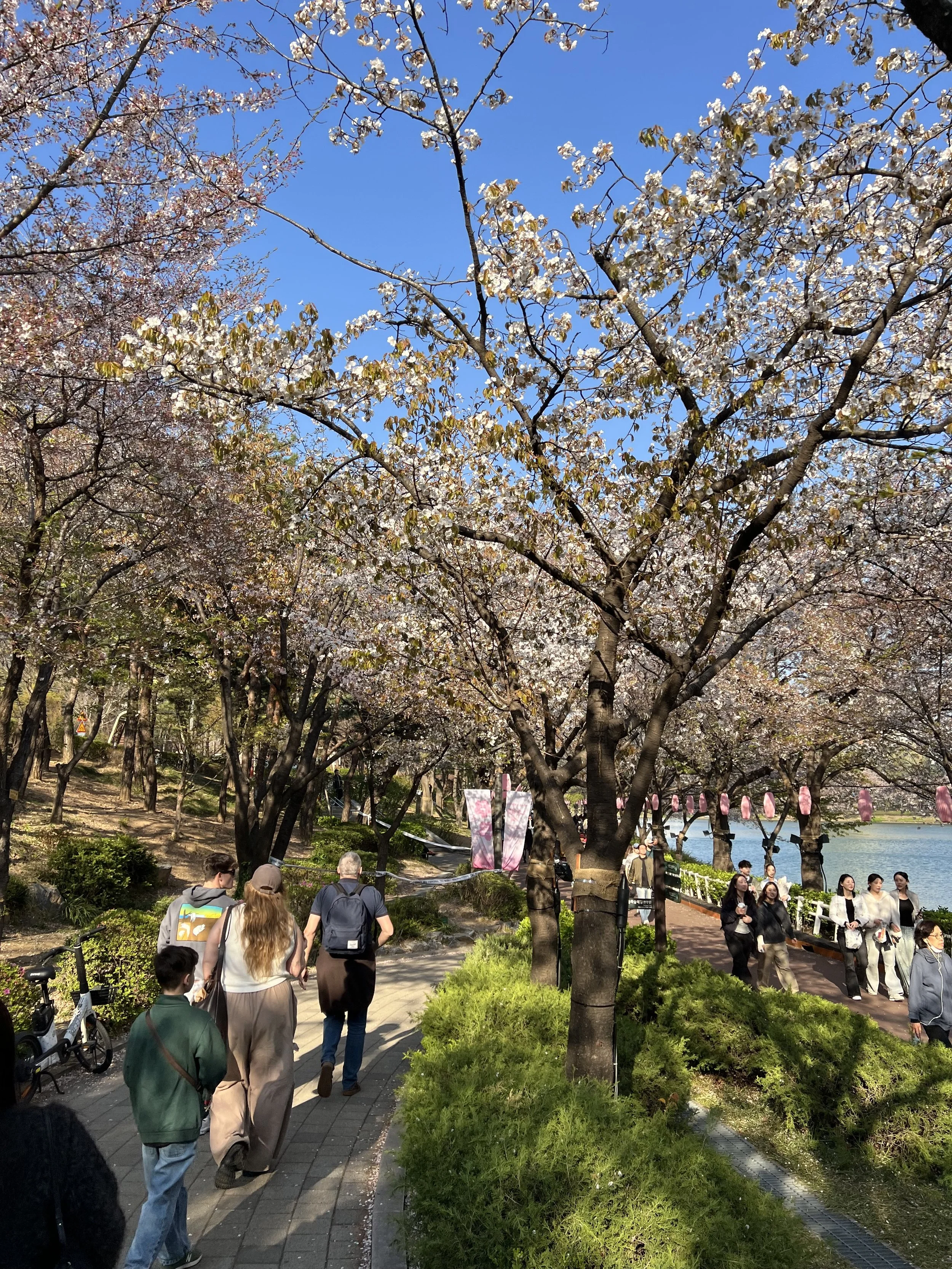 IMG_5733.jpeg