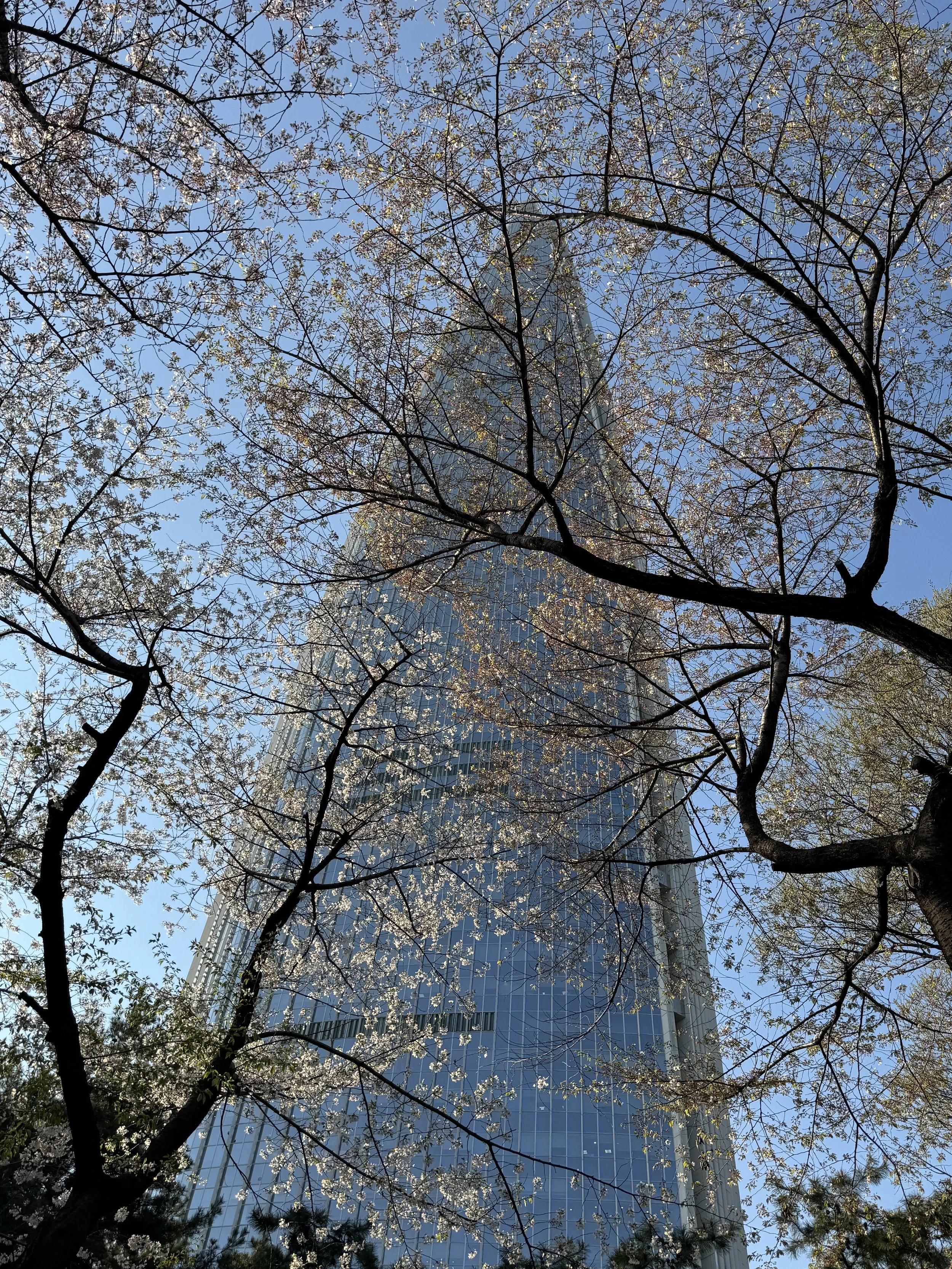IMG_4647.jpeg