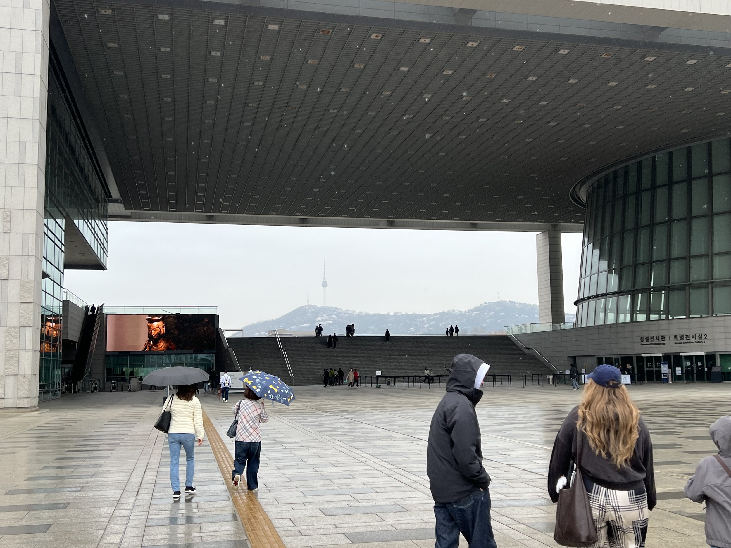 IMG_5879.jpeg