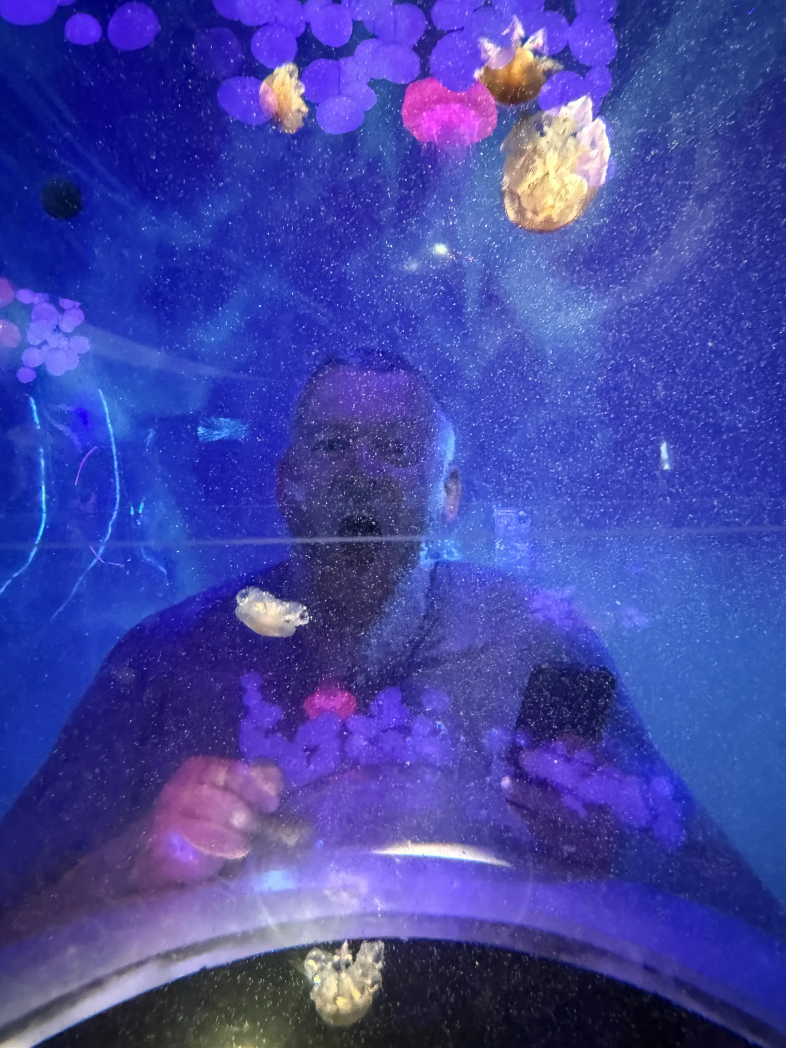 IMG_1979.jpeg