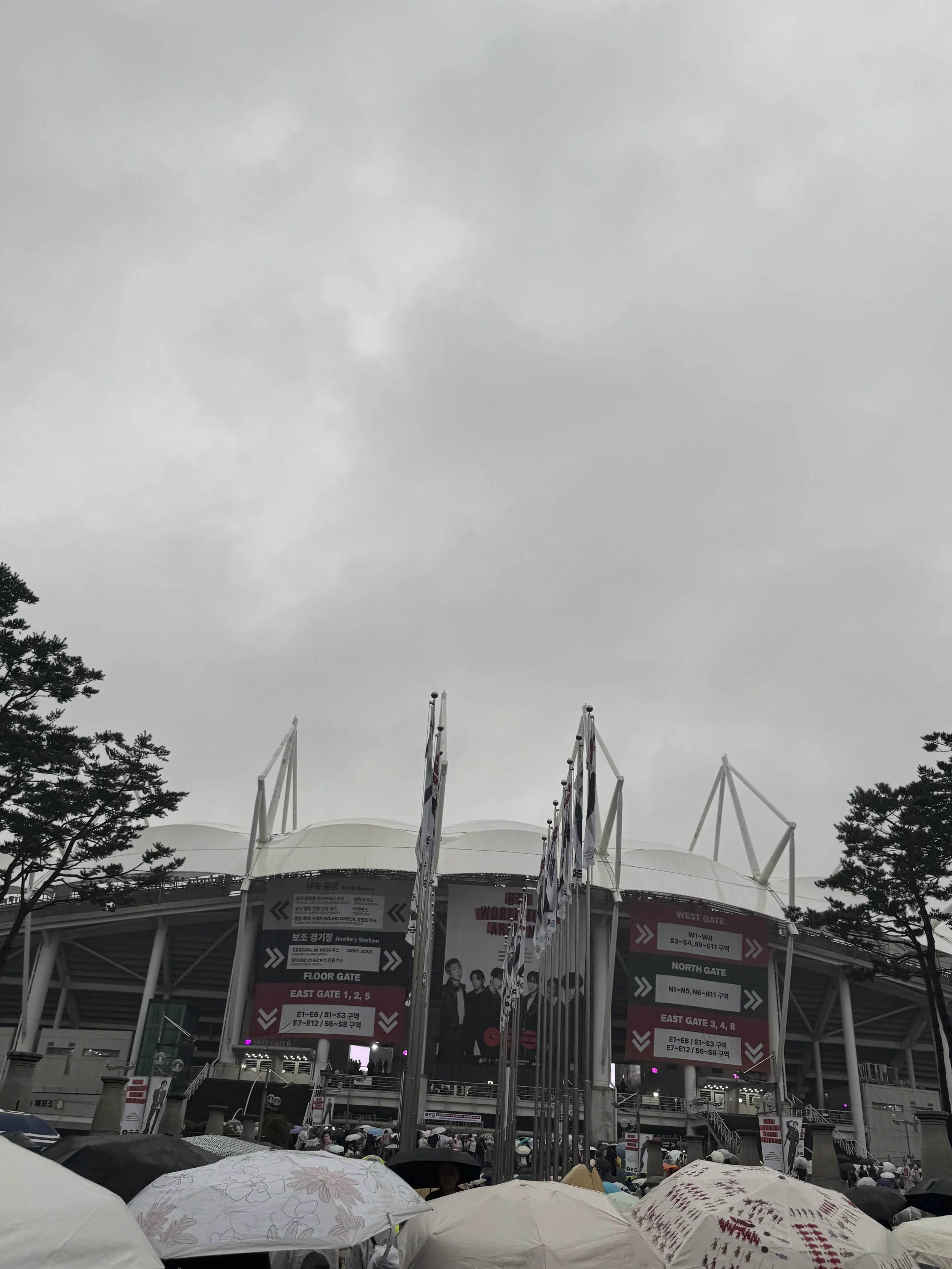 IMG_4778.jpeg