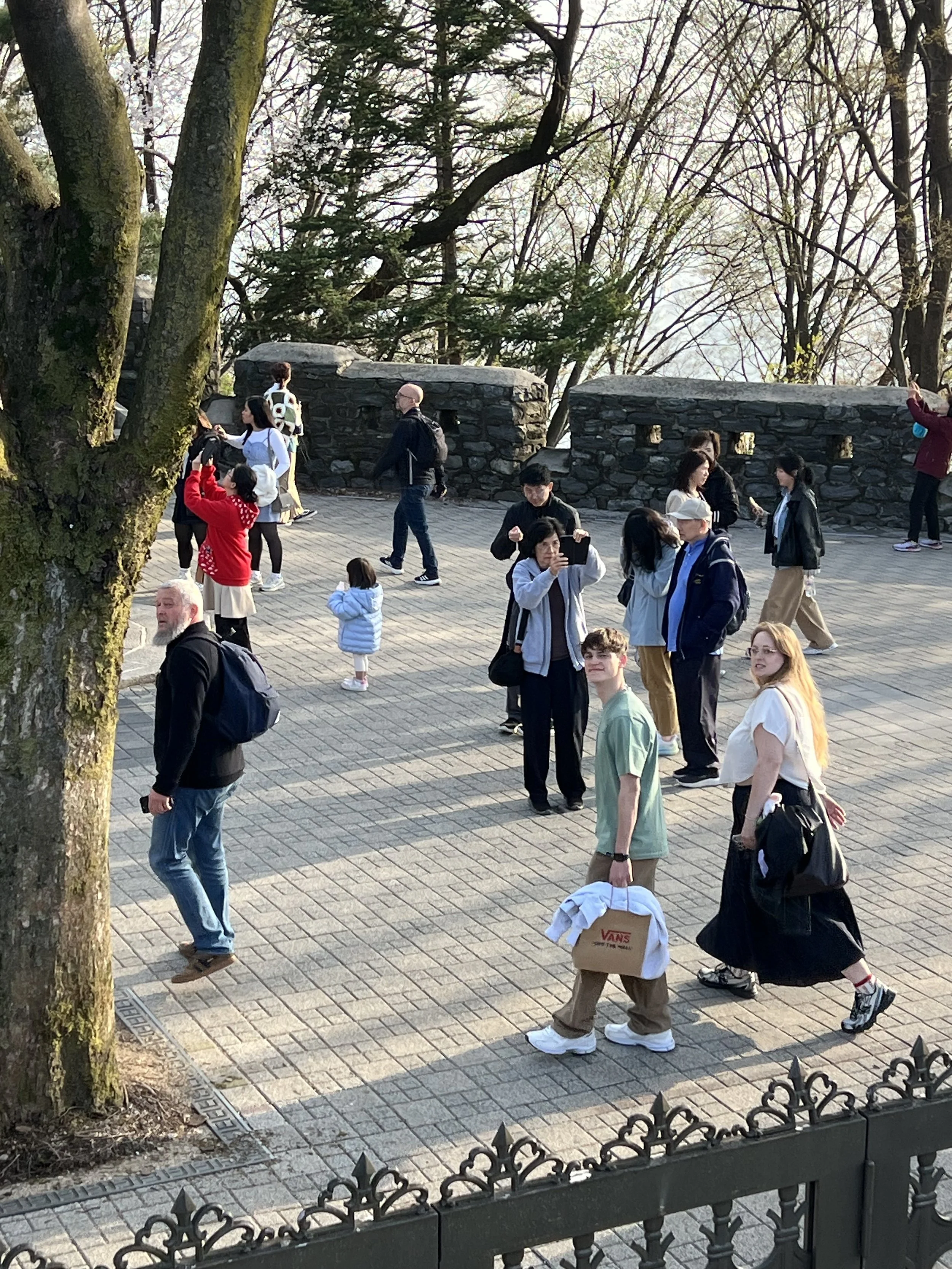 IMG_6203.jpeg