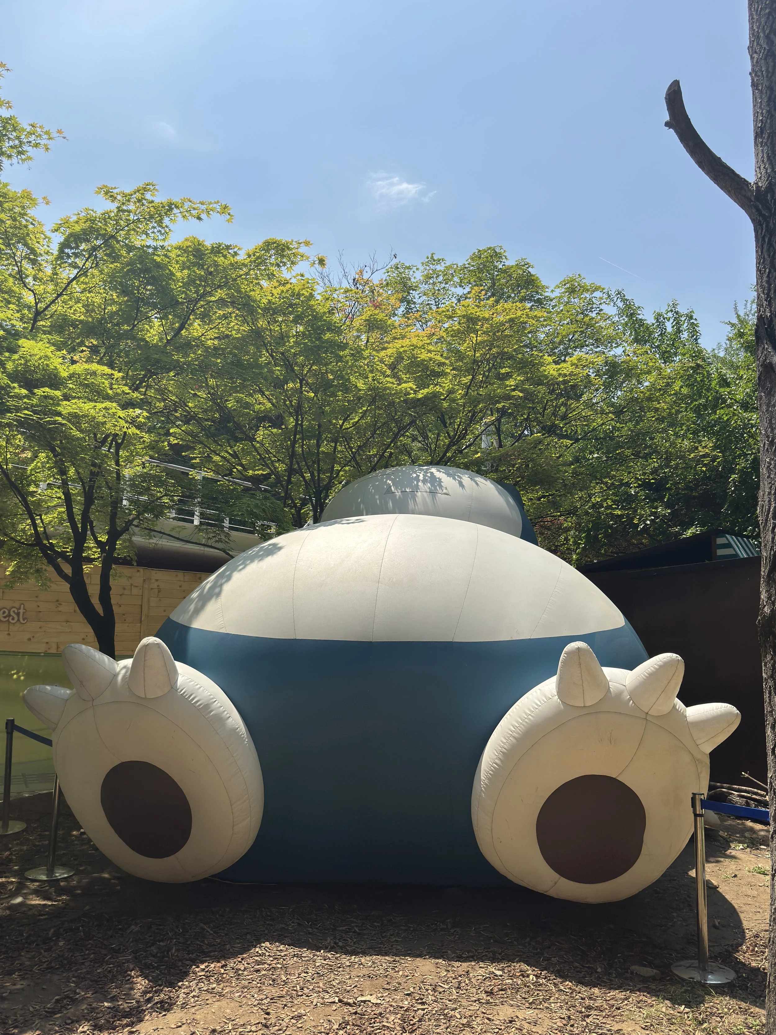 IMG_5411.jpeg