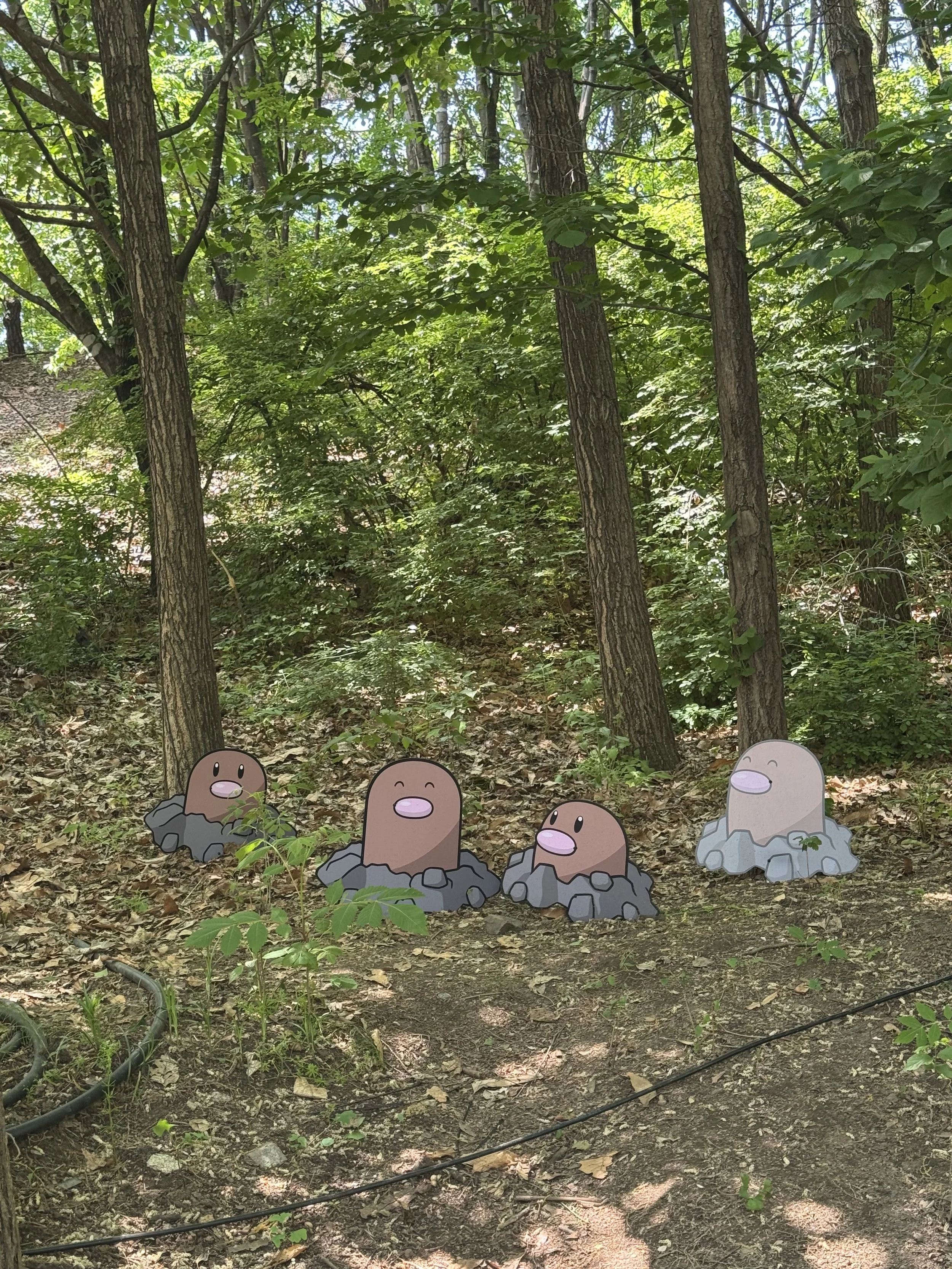IMG_5414.jpeg