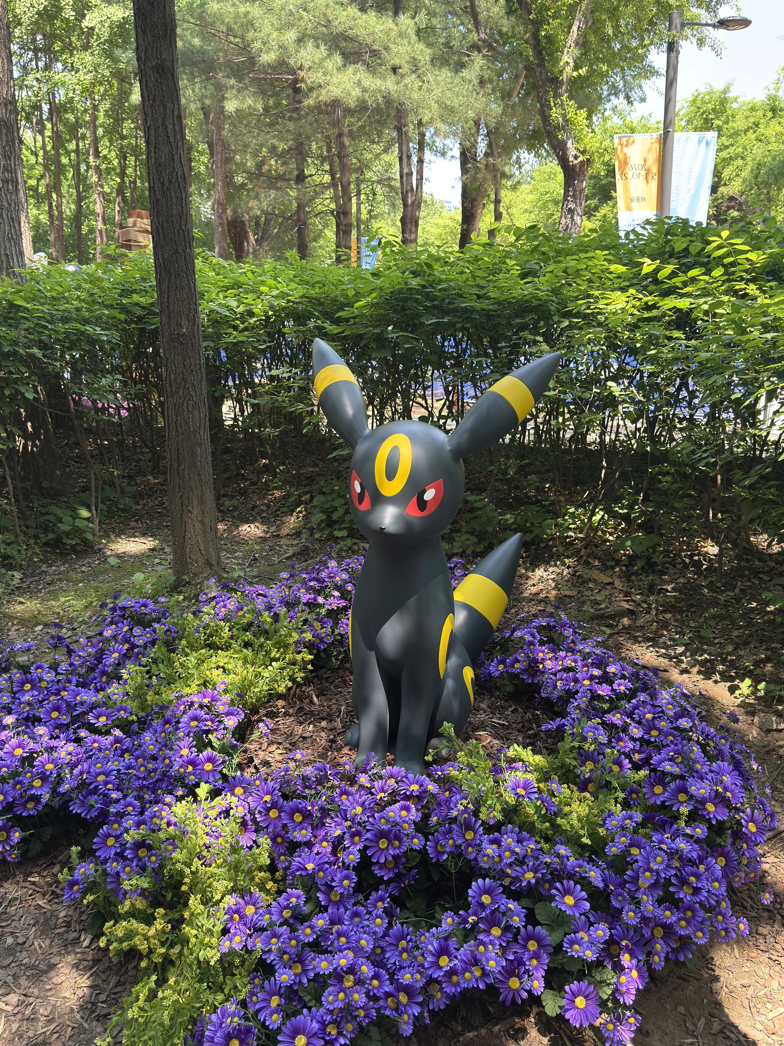 IMG_5428.jpeg