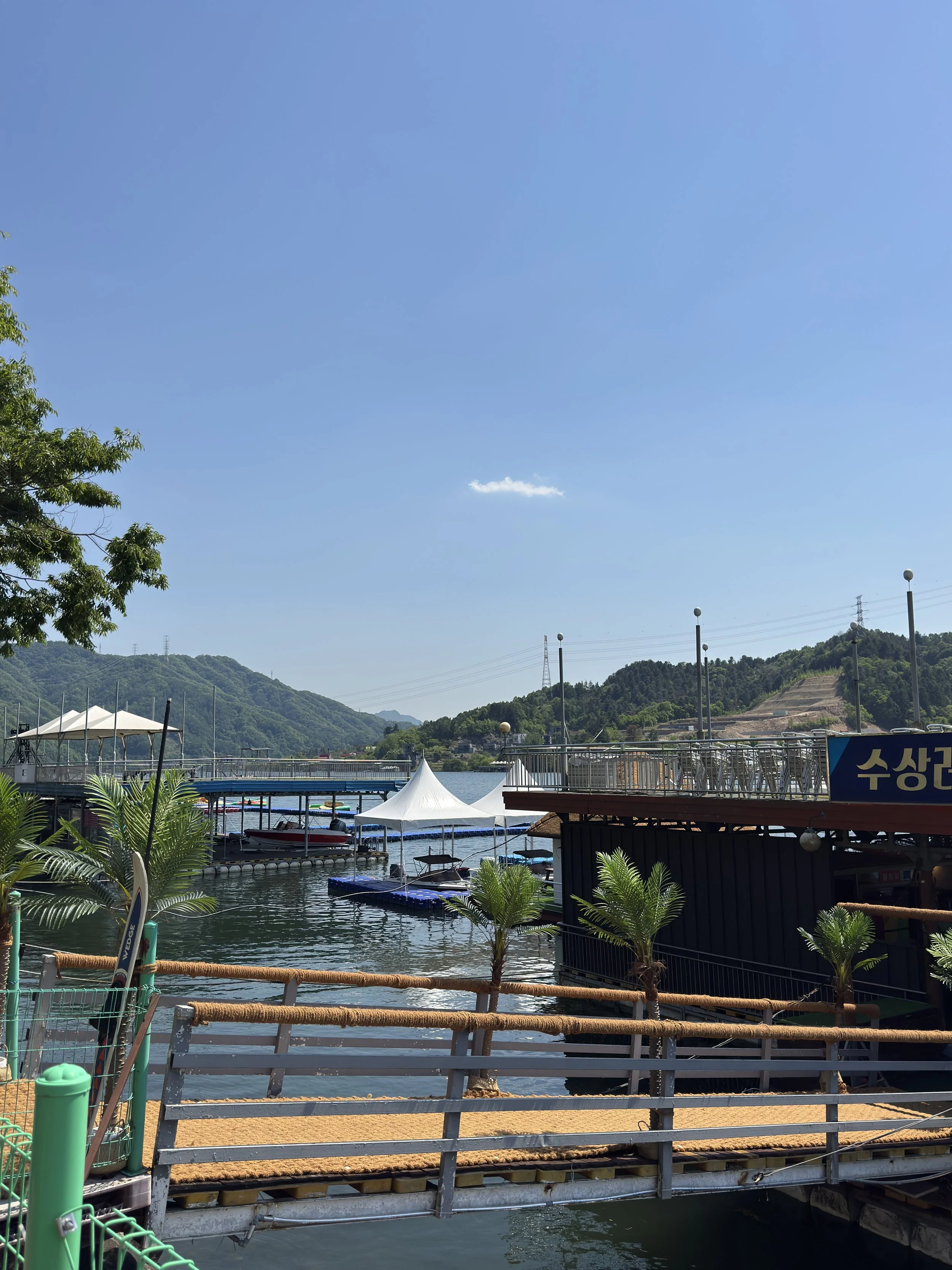 IMG_5461.jpeg