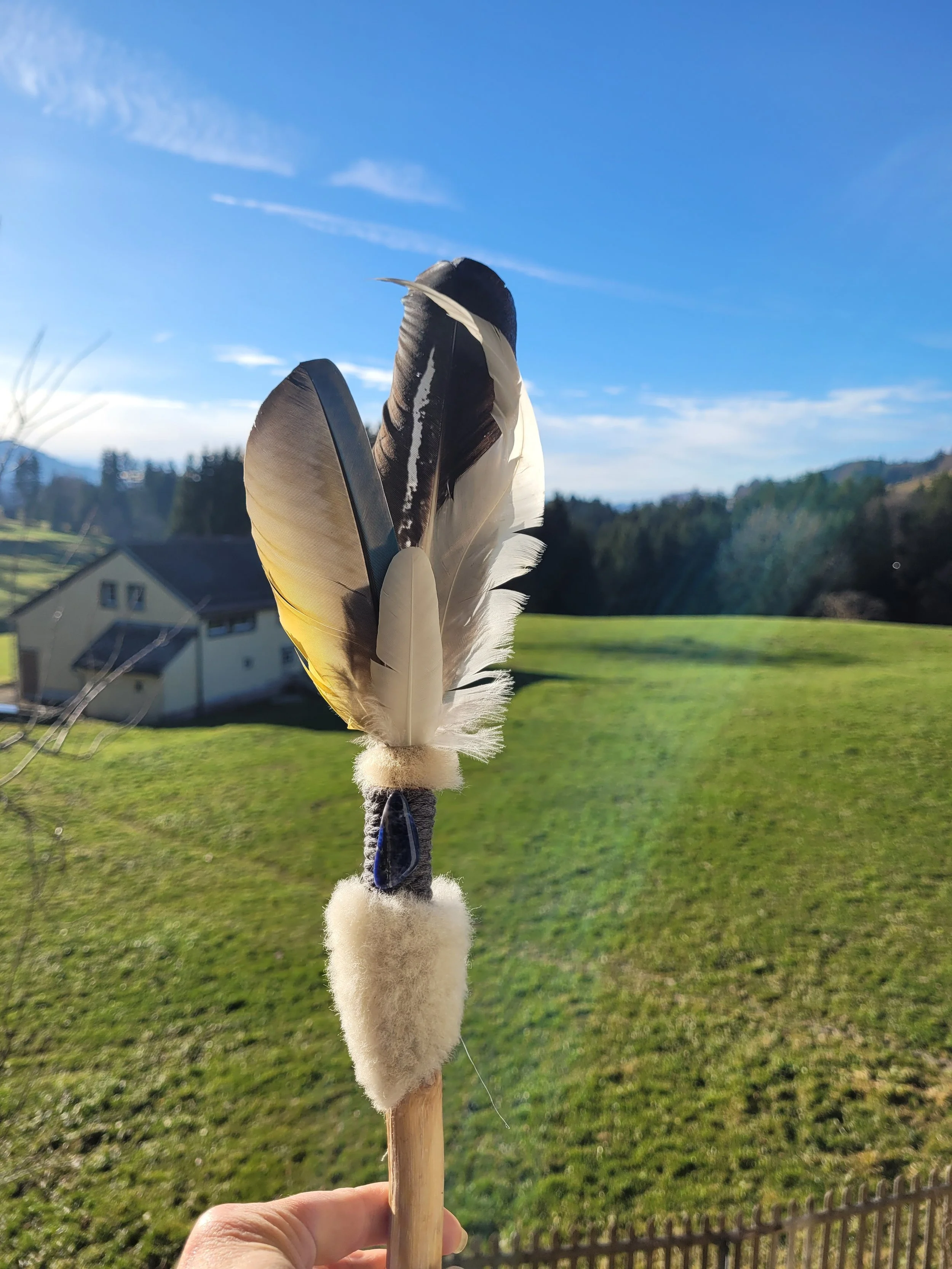 RF klein blau sw 12 25.jpg