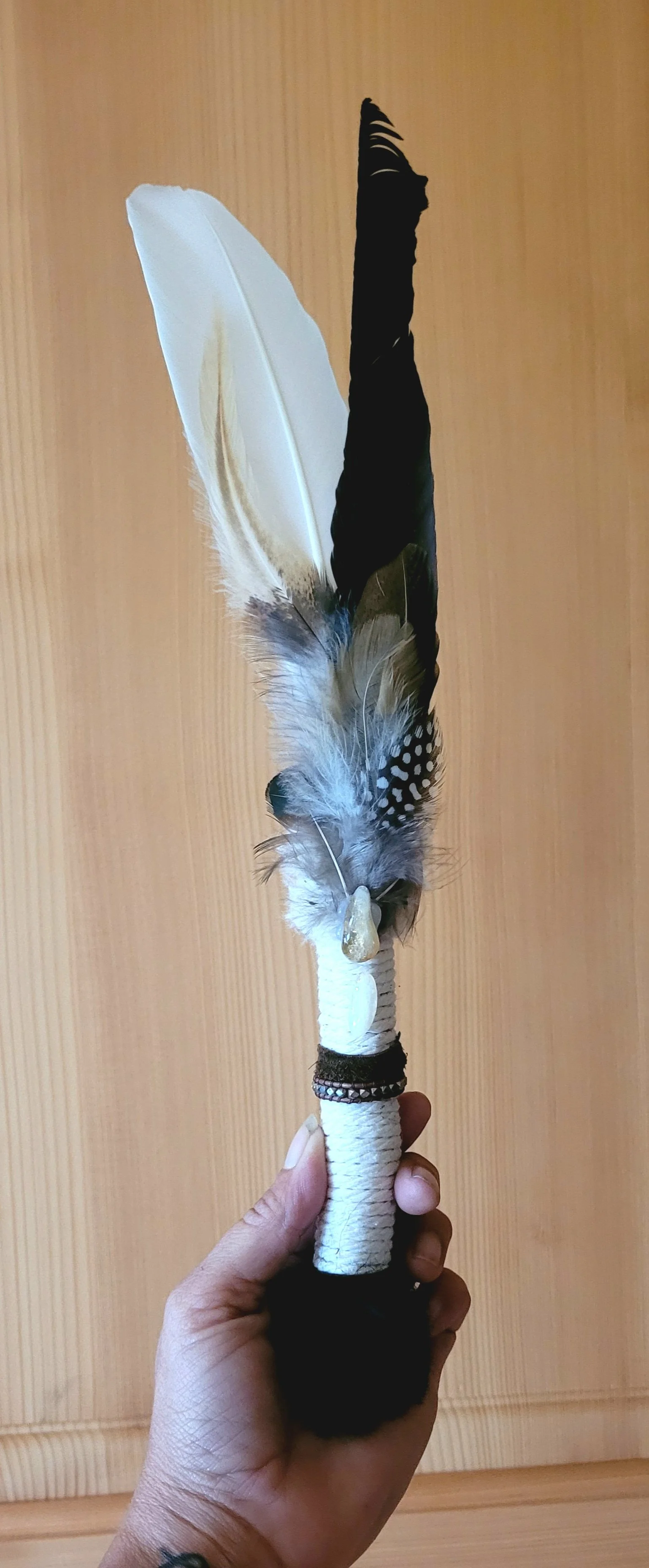 RF w-s zart 06 25.jpg