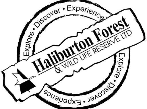 Logo of Haliburton Forest & WILD LIFE RESERVE LTD with a circle around it, featuring the words 'Explore, Discover, Experience' and an icon of a tree.