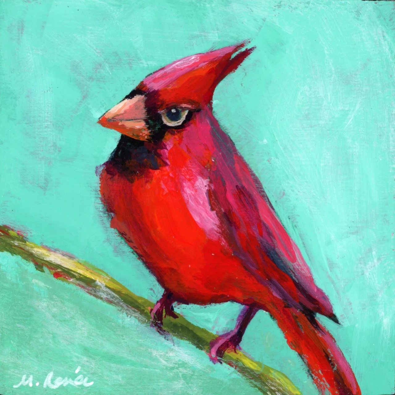 bird cardinal.jpeg