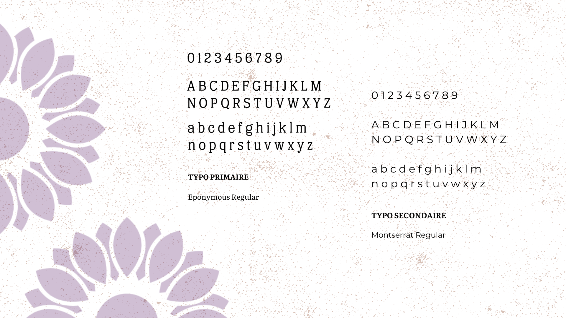Exemples de caractères en différentes polices telles que Éponyme Regular et Montserrat Regular, avec numéros, lettres majuscules et minuscules, sur un fond clair avec des motifs floraux violets.