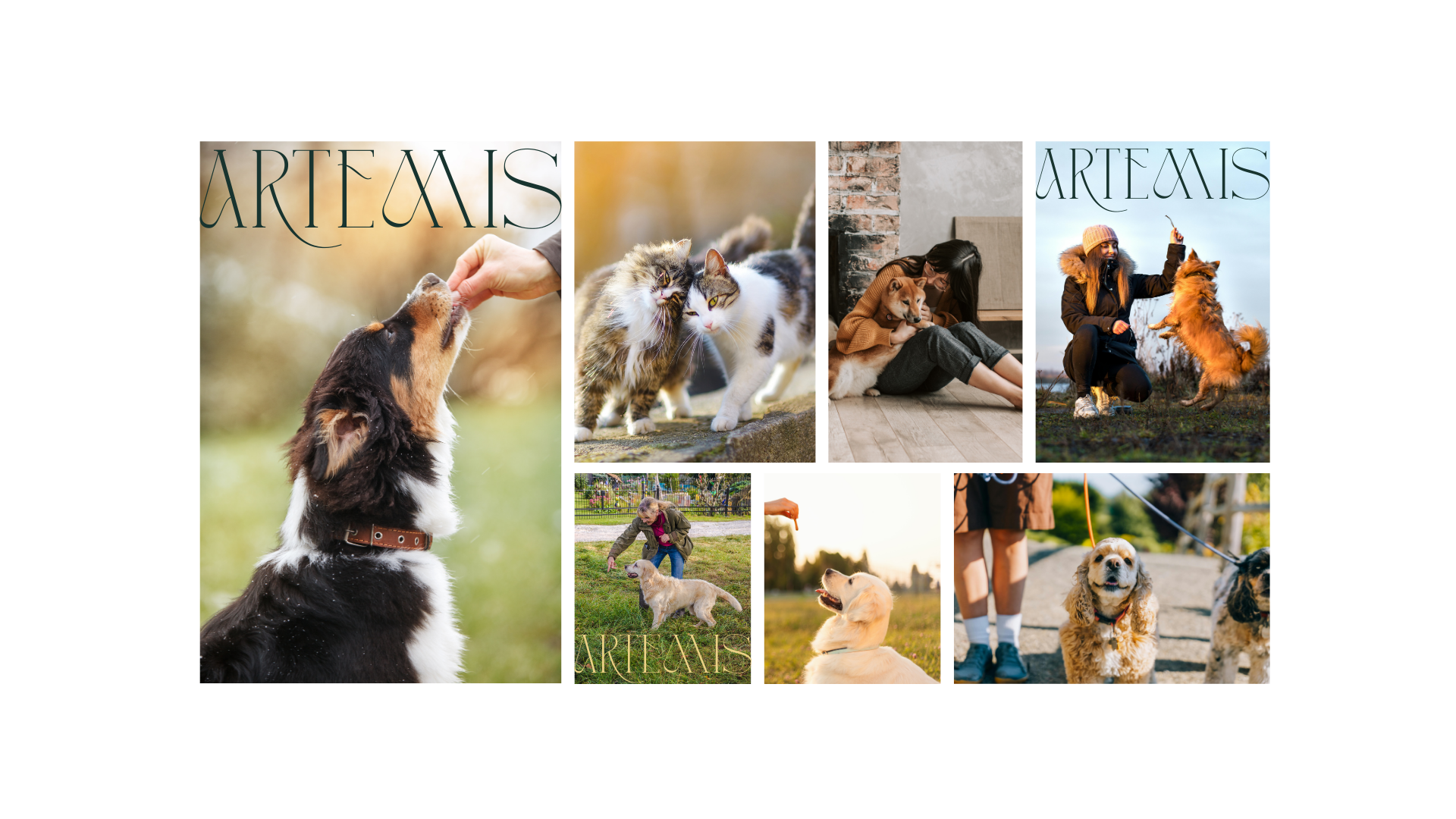 Collage de plusieurs photos d'animaux de compagnie, incluant chiens et chats, avec le texte "ARTEAIS" en haut et en bas