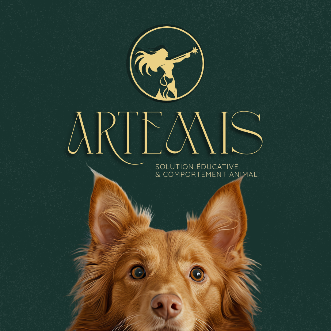 Couverture de livre avec un logo d'une femme avec une corne de licorne, texte 'ARTEMIS' et un chien orange regardant devant, sur fond vert avec des points blancs.