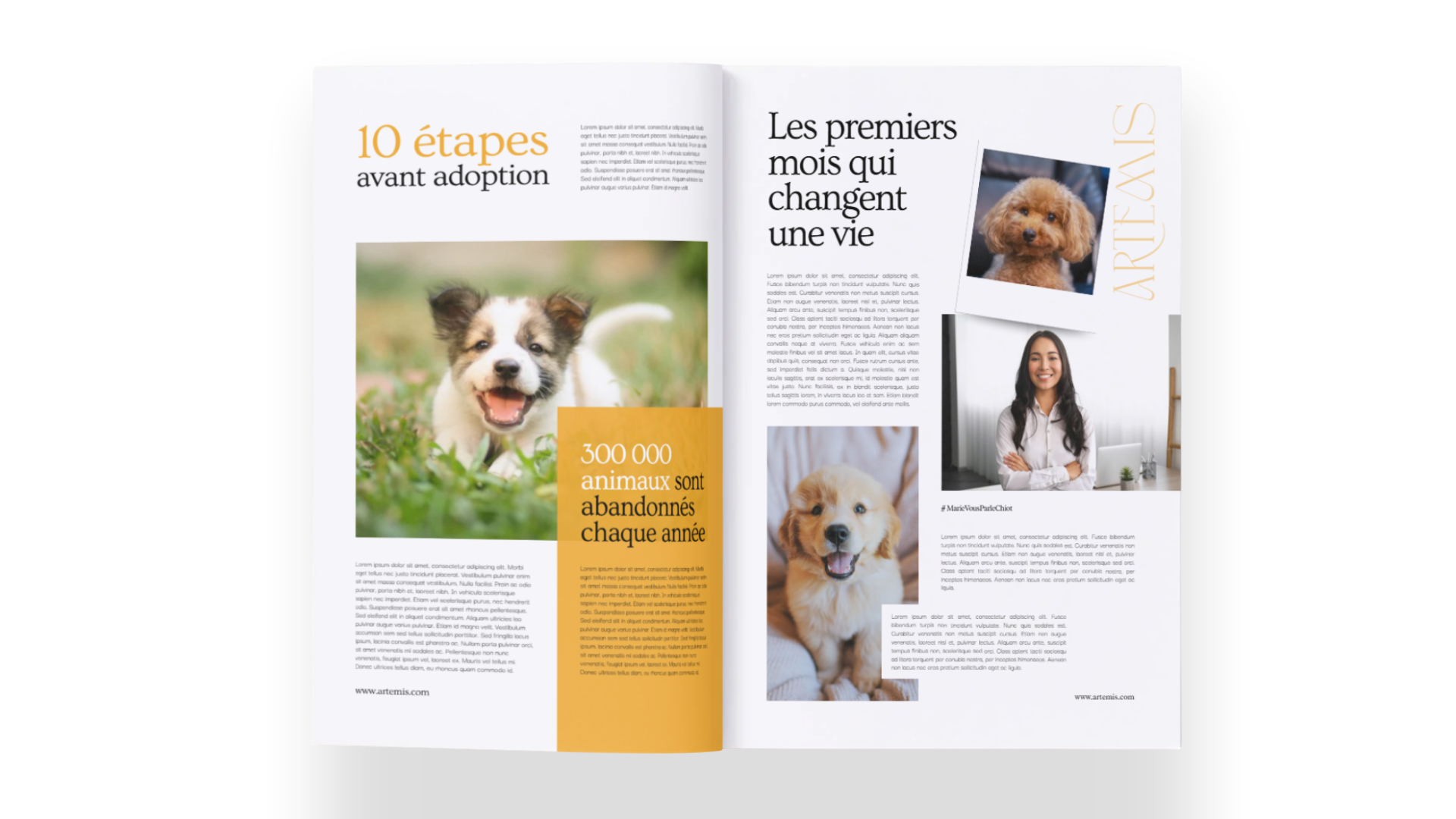 Une double page d'un magazine ou d'une brochure avec des images de chiens, un homme et des textes en français. La page de gauche parle de 10 étapes avant adoption et indique que 300 000 animaux sont abandonnés chaque année. La page de droite parle des premiers mois qui changent une vie, avec des photos de chiens et une femme souriante.