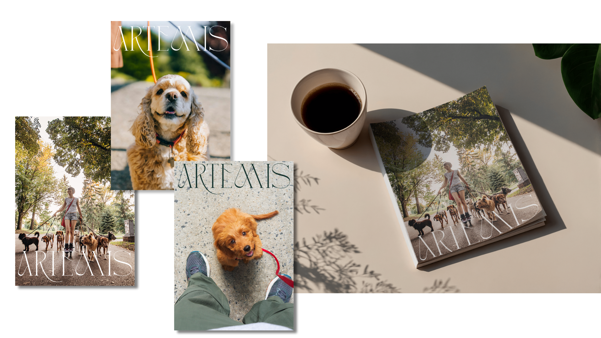 Une photo de magazine avec des chiens lors d'une promenade dans un parc, une tasse de café et un livre sur une table.
