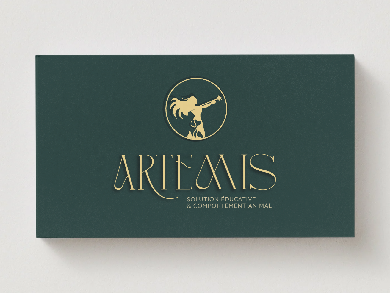 Boîte verte avec un logo d'une femme ailée tirant une flèche, inscription 'ARTEAIS' et sous-titre 'Solution éducative & comportement animal'.
