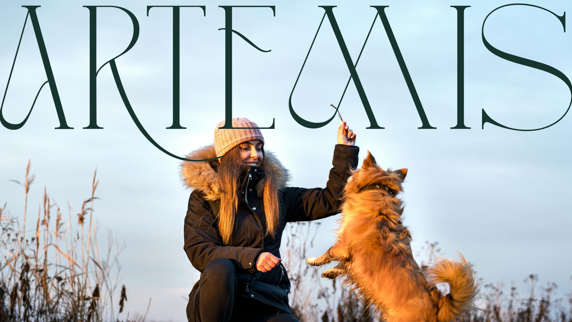 Une femme avec un manteau noir et un bonnet beige joue avec un chien fox terrier dans un champ avec des herbes sèches, au coucher du soleil, avec le mot 'ARTÉMIS' en surimpression.
