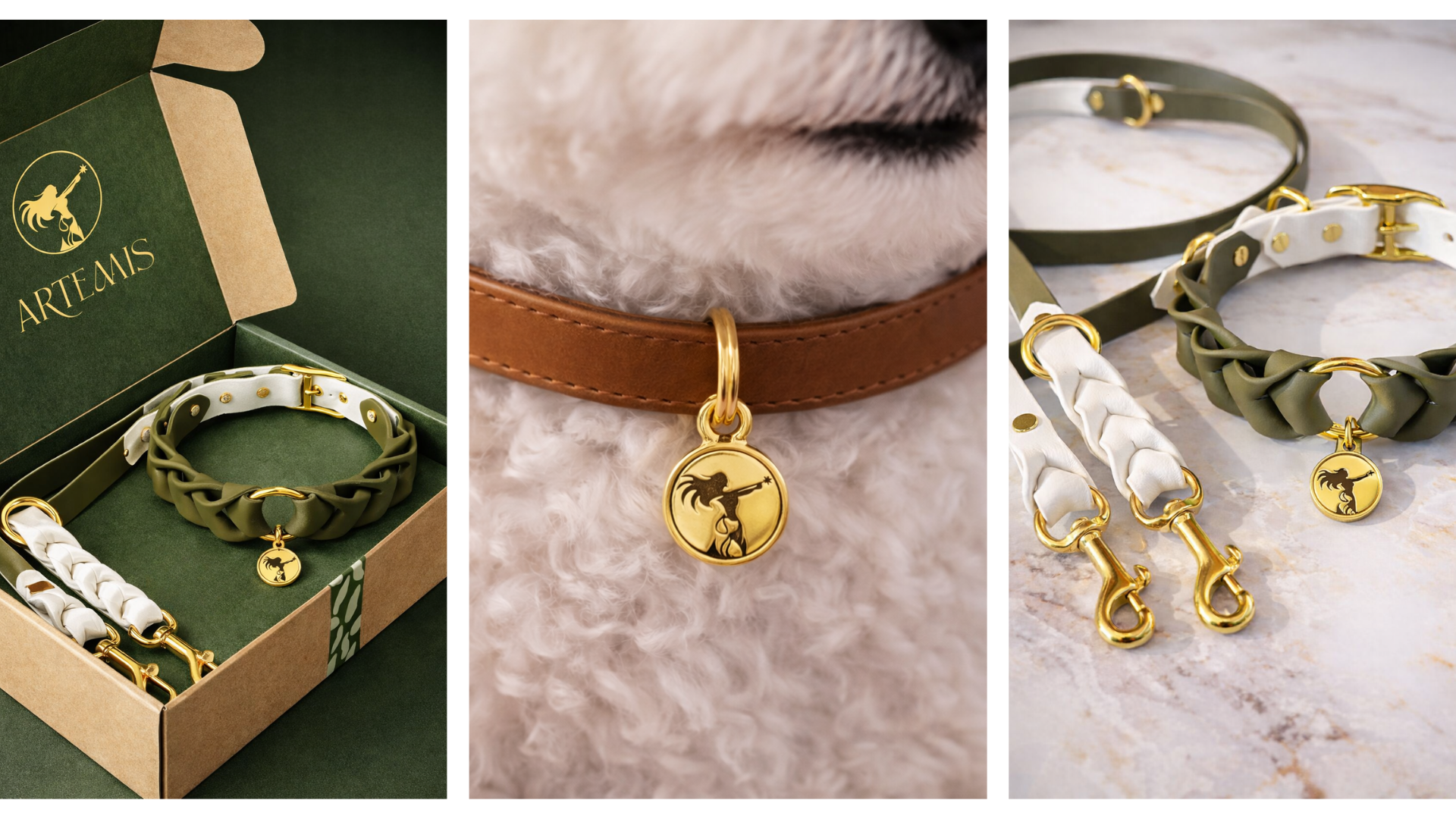 Photo montrant des colliers et accessoires pour animaux avec un logo de lion, présentés dans une boîte, avec un chien portant un collier en cuir avec un pendentif, et d'autres colliers et laisses en cuir avec des médailles.