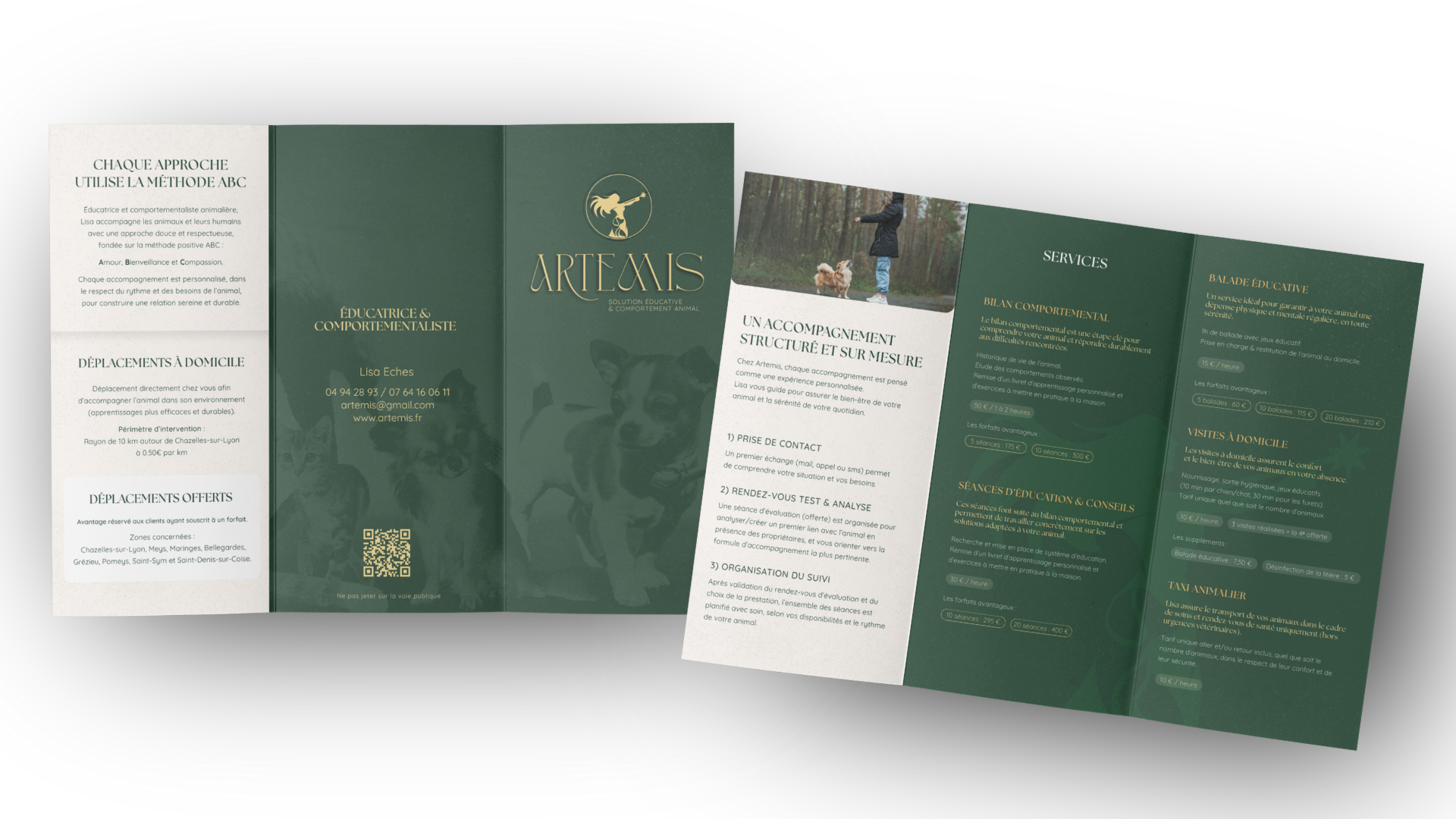 Un dépliant promotionnel pour un service d'éducation et de comportement animal. Le dépliant comporte plusieurs sections avec des informations sur l'accompagnement personnalisé, les services, et les tarifs, ainsi qu'une photo de personne avec un chien dans un parc.