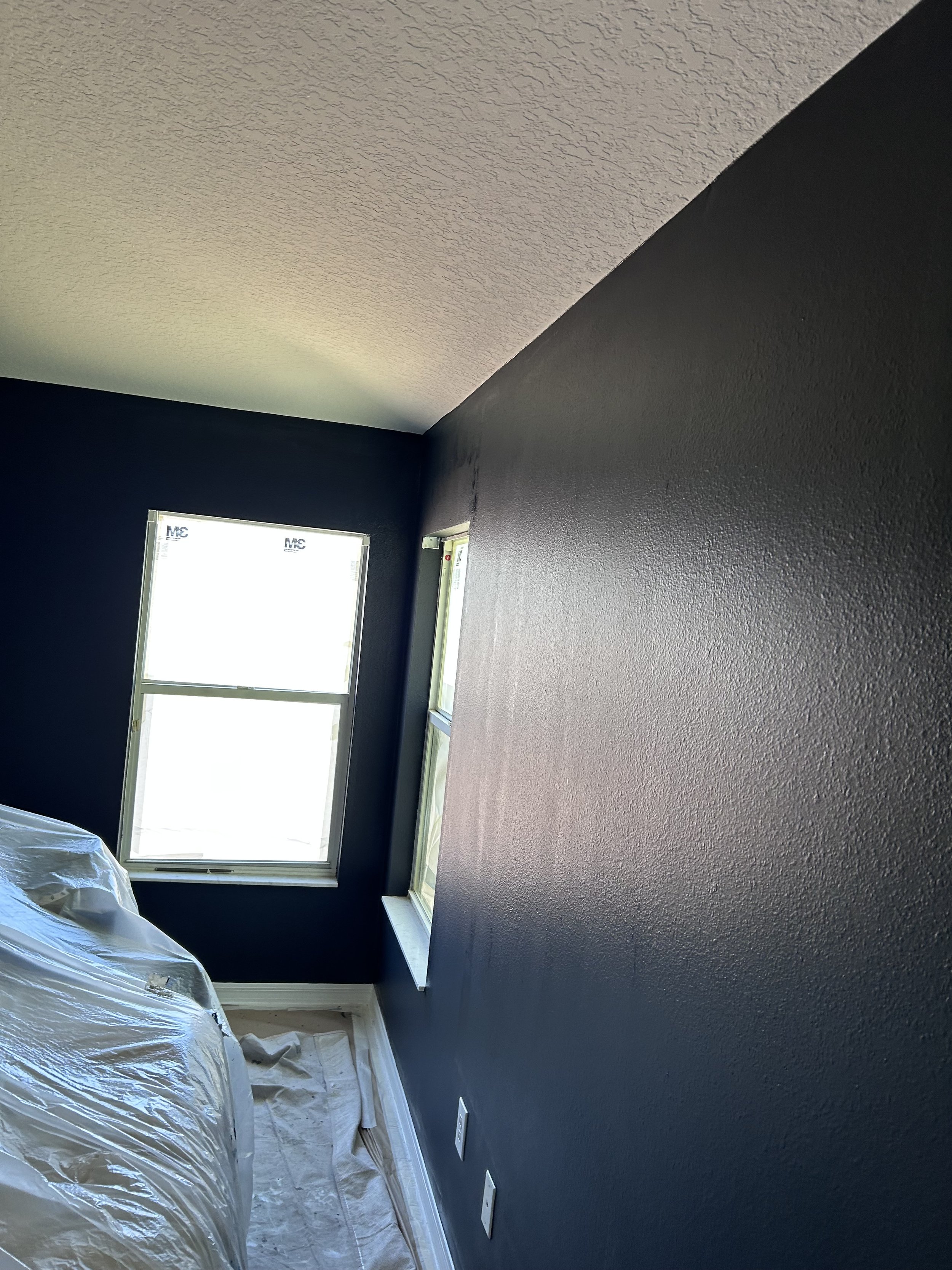 Room with dark blue painted walls, a white ceiling, and two windows. A floor is covered with a protective sheet, suggesting painting in progress.