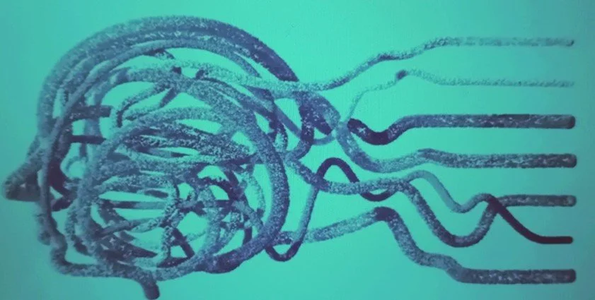 健康的数字决定因素