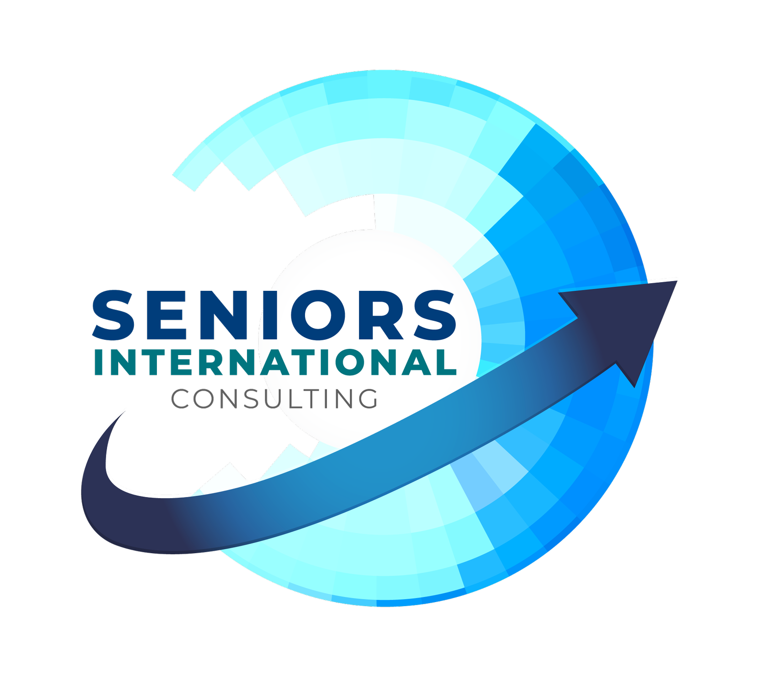 SENIORS INTERNATIONAL CONSULTING 