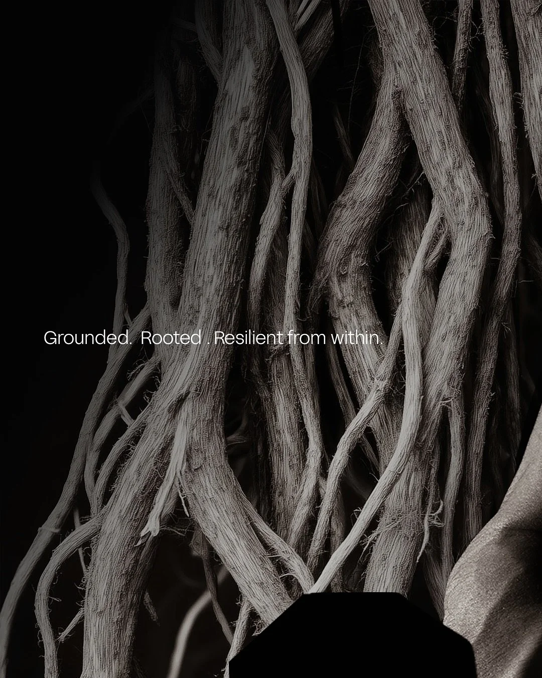 Nothing grows without roots.
What&rsquo;s visible above only exists because of what&rsquo;s steady underneath.