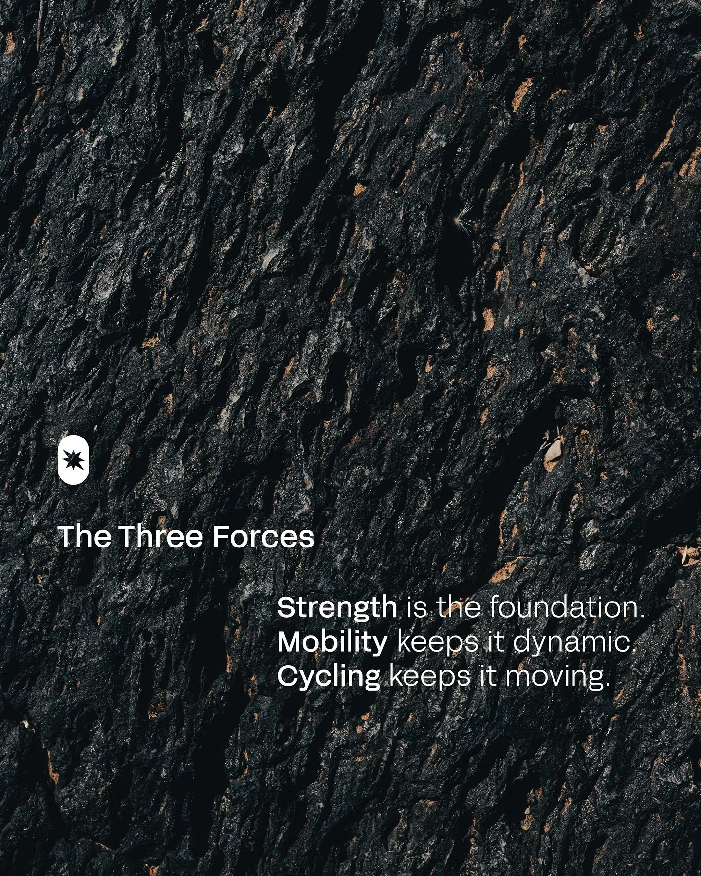At BAM, strength is the foundation&mdash;it&rsquo;s control, power, and resilience.
Mobility keeps it dynamic, shaping strength through movement.
Cycling builds endurance, keeping your strength flowing and alive.
Together, they make every session int