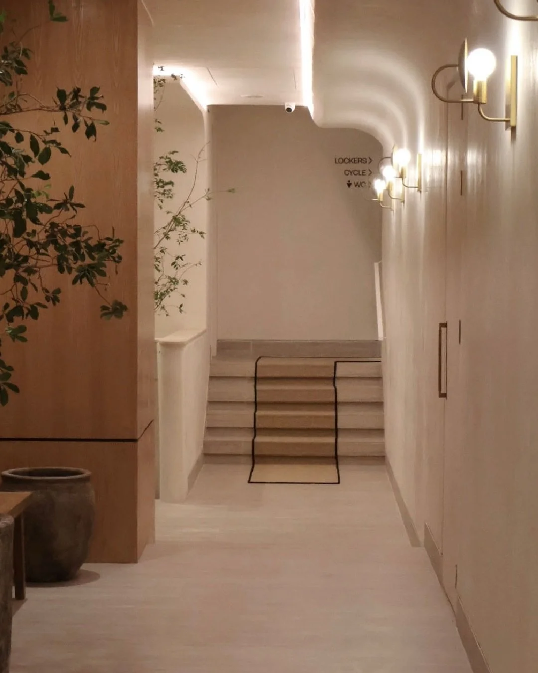 Soft transitions shape the experience at BAM.
Natural textures, quiet lighting, and greenery create a sense of calm as you move through the space.
Each corridor is designed to feel intentional &mdash; warm, understated, and open &mdash; a moment of p