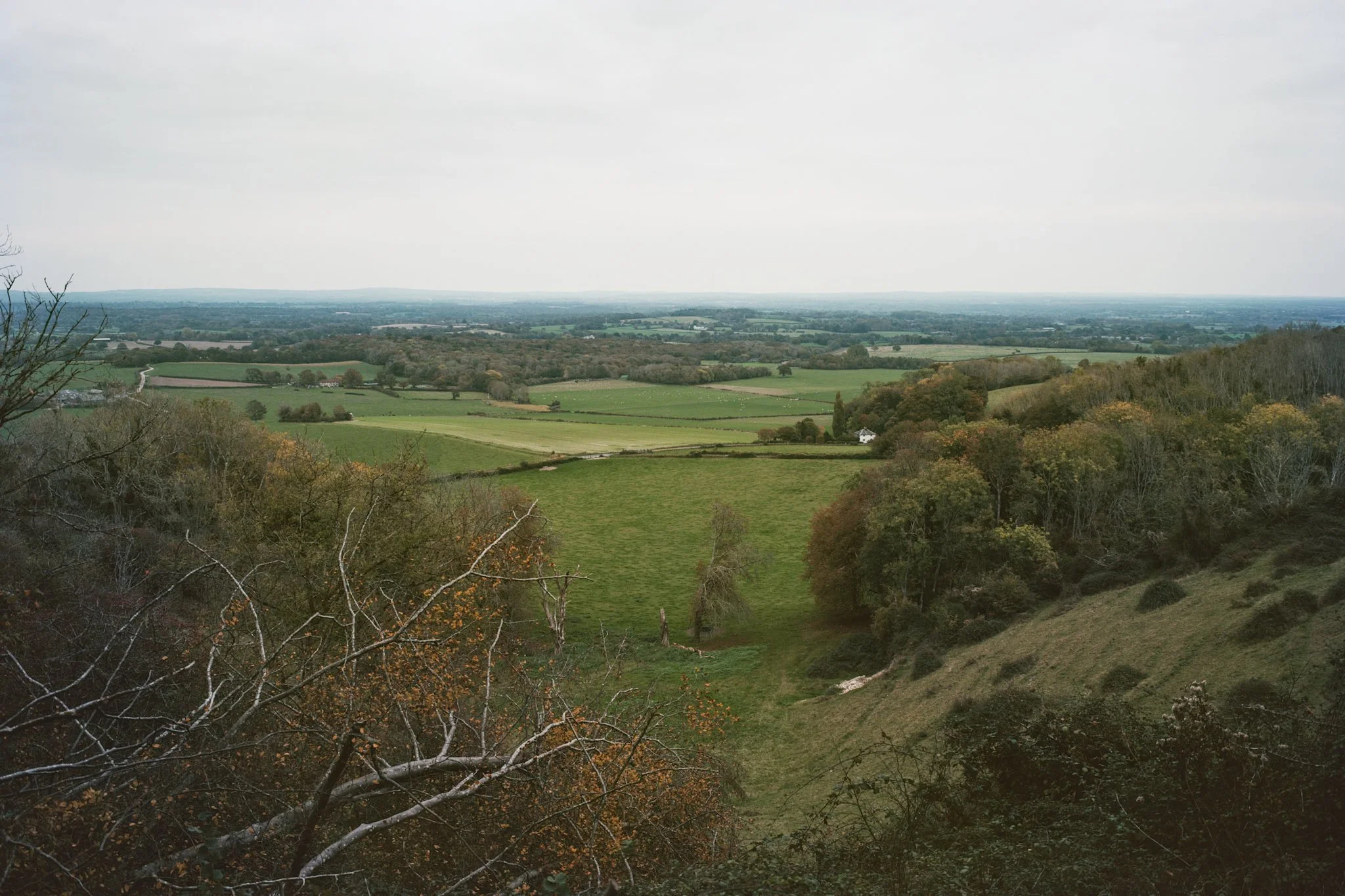 IMG_2994.jpeg
