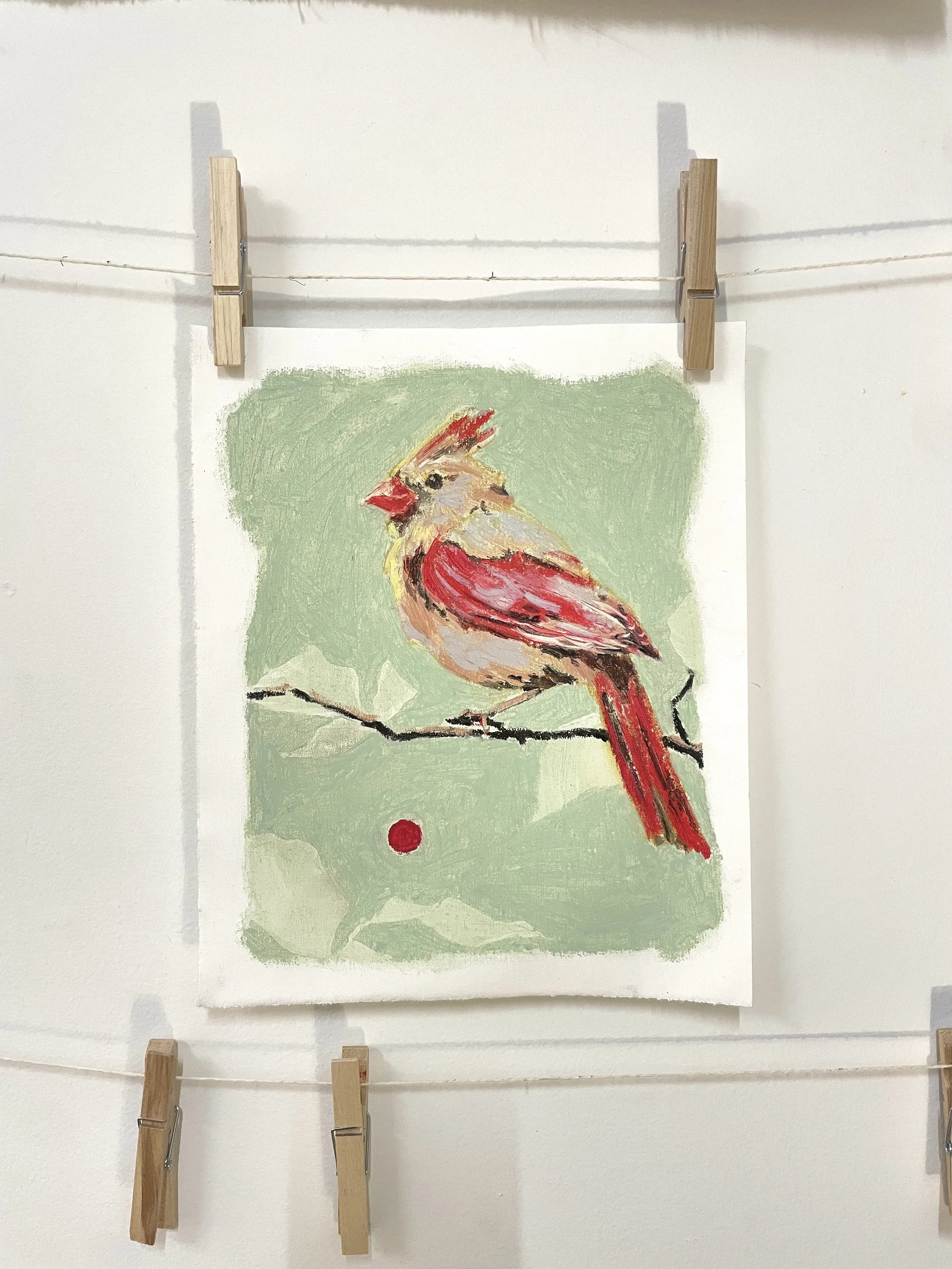 Female Cardinal