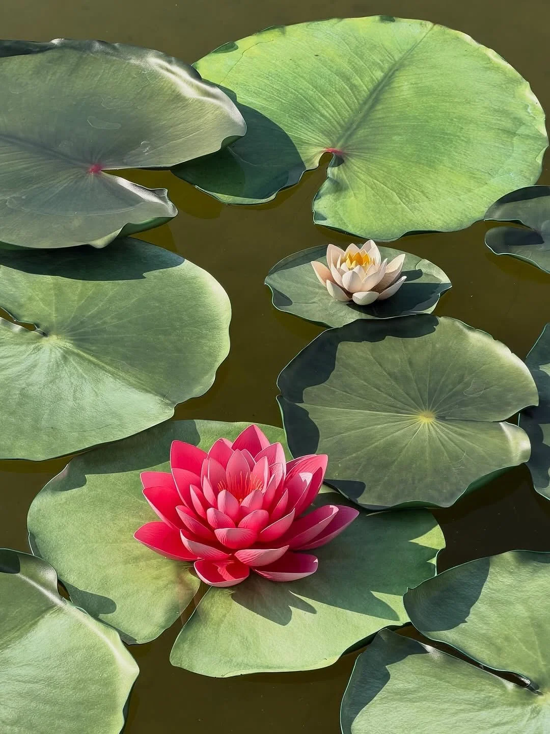 𝗧𝗵𝗲 𝗣𝗹𝗲𝗮𝘀𝘂𝗿𝗲 𝗚𝗮𝗿𝗱𝗲𝗻𝘀 𝗼𝗳 𝗗𝗶𝗼𝗿 𝗔𝗪𝟮𝟲-𝟮𝟳

𝘗𝘢𝘳𝘪𝘴. 𝘗𝘭𝘦𝘢𝘴𝘶𝘳𝘦. 𝘎𝘢𝘳𝘥𝘦𝘯𝘴.

Stretching from the Louvre to Place de la Concorde in the 1st arrondissement, the gardens of the Tuileries Palace were created by Cathe