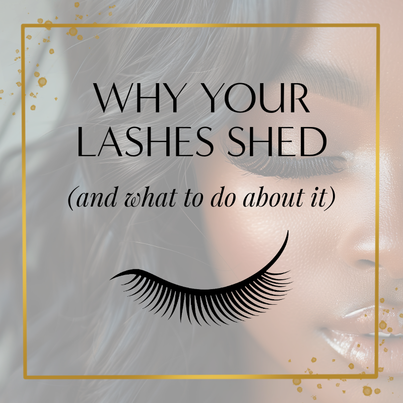 Why Your Lashes Shed (and What to Do About It)