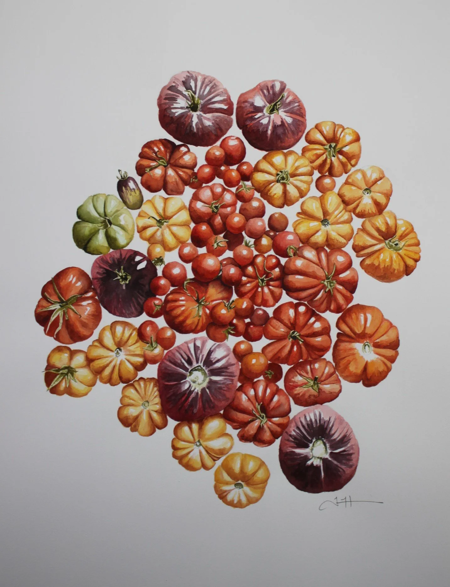 tomatoes cropped.JPG