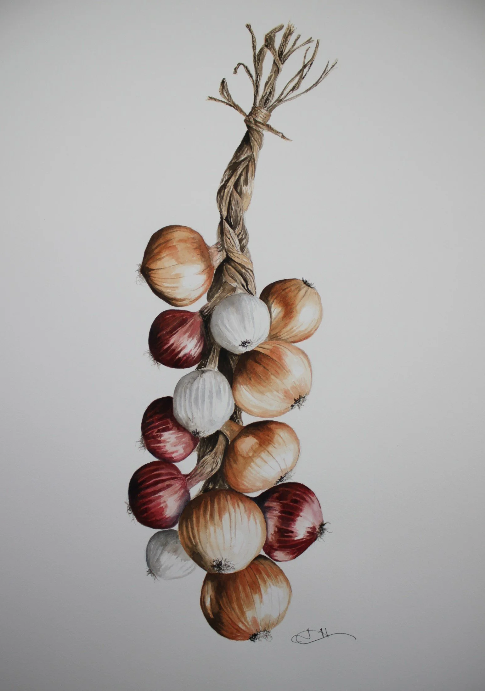 onions cropped.JPG