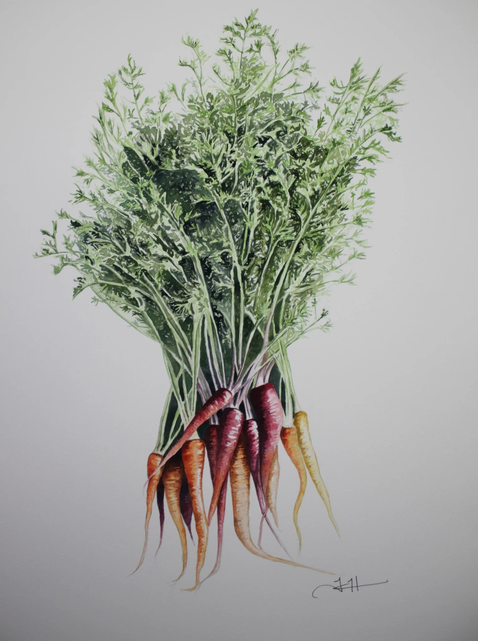 carrots cropped.JPG