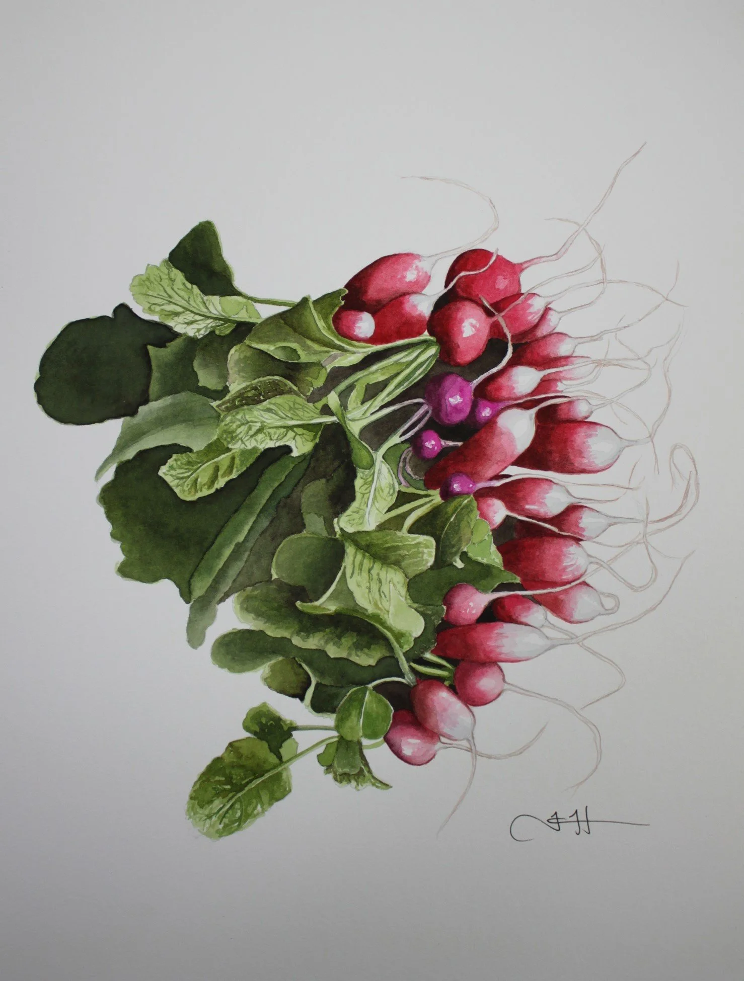 radishes cropped.JPG