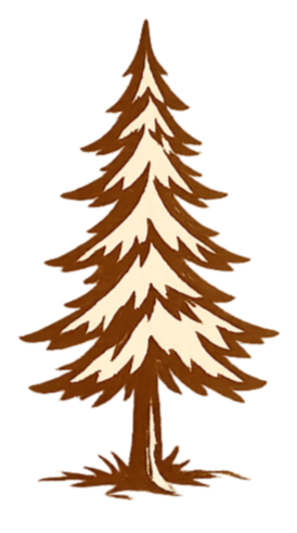 Illustration of a pine tree with snow on its branches.