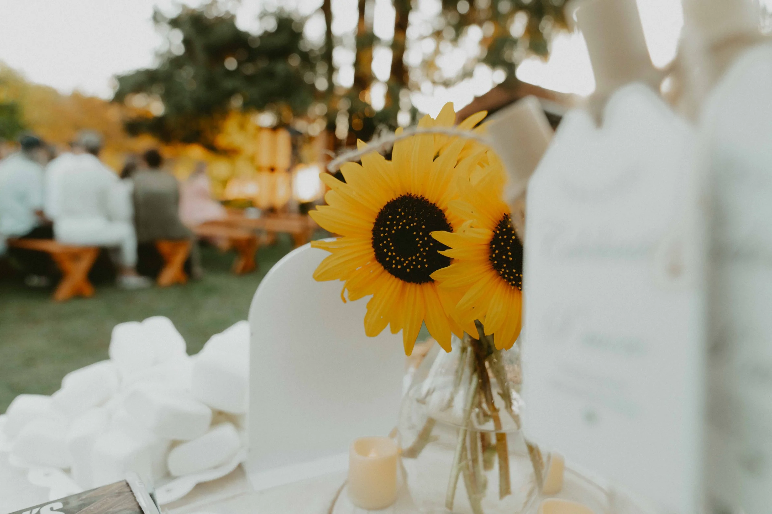 KDPV_092025_Murray Wedding_151.jpg