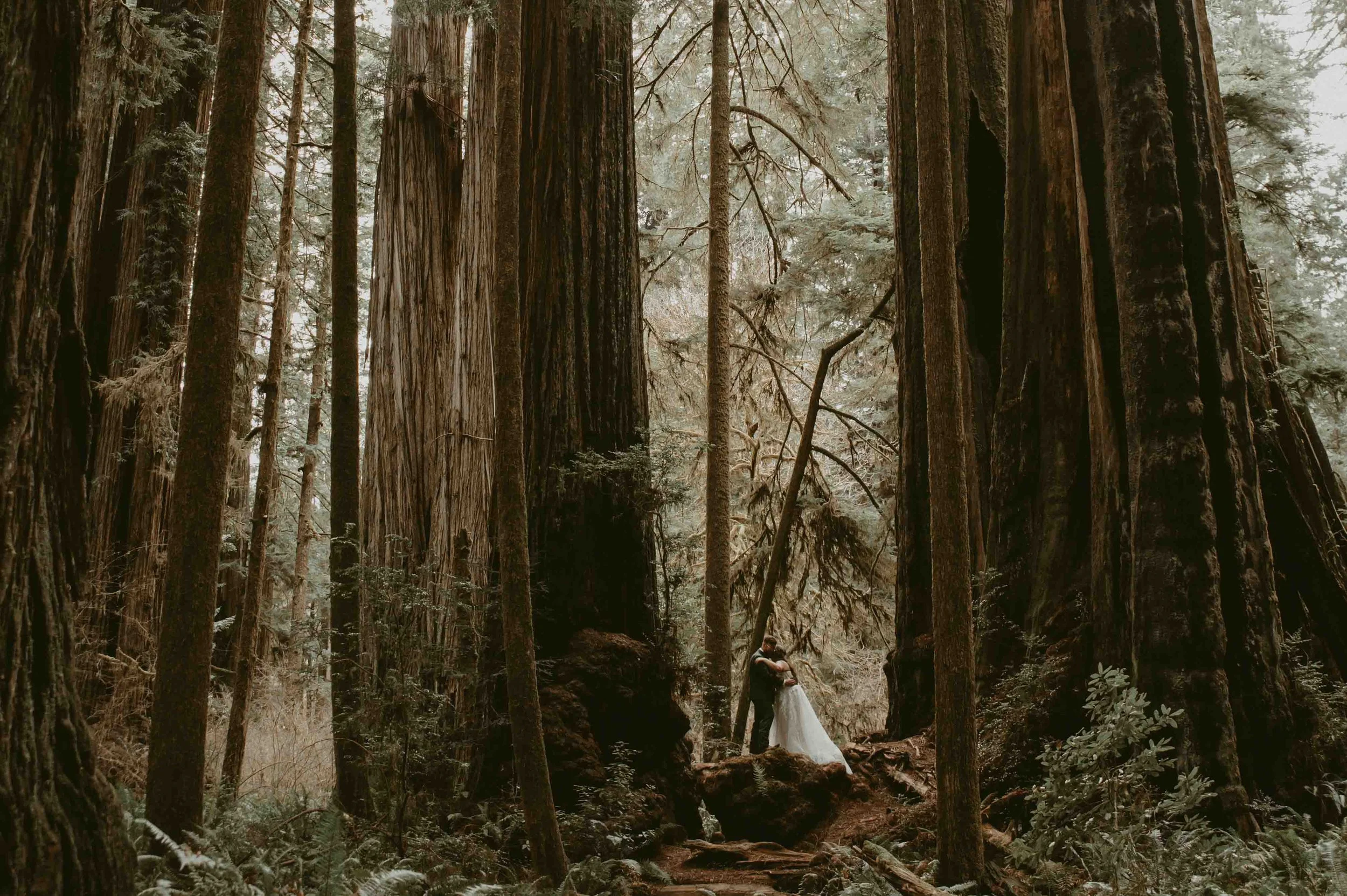 031326_Maddox Elopement_KD Set_214.jpg