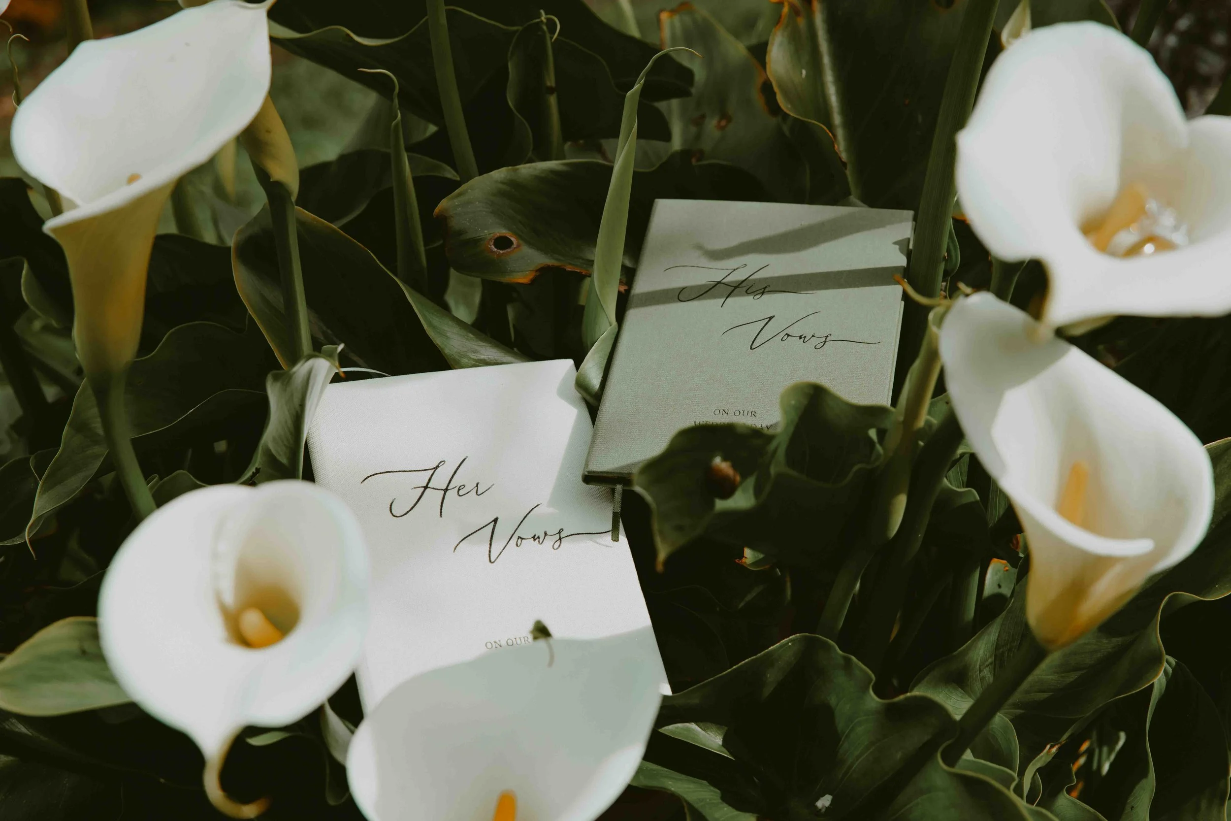 031326_Maddox Elopement_KD Set_021.jpg