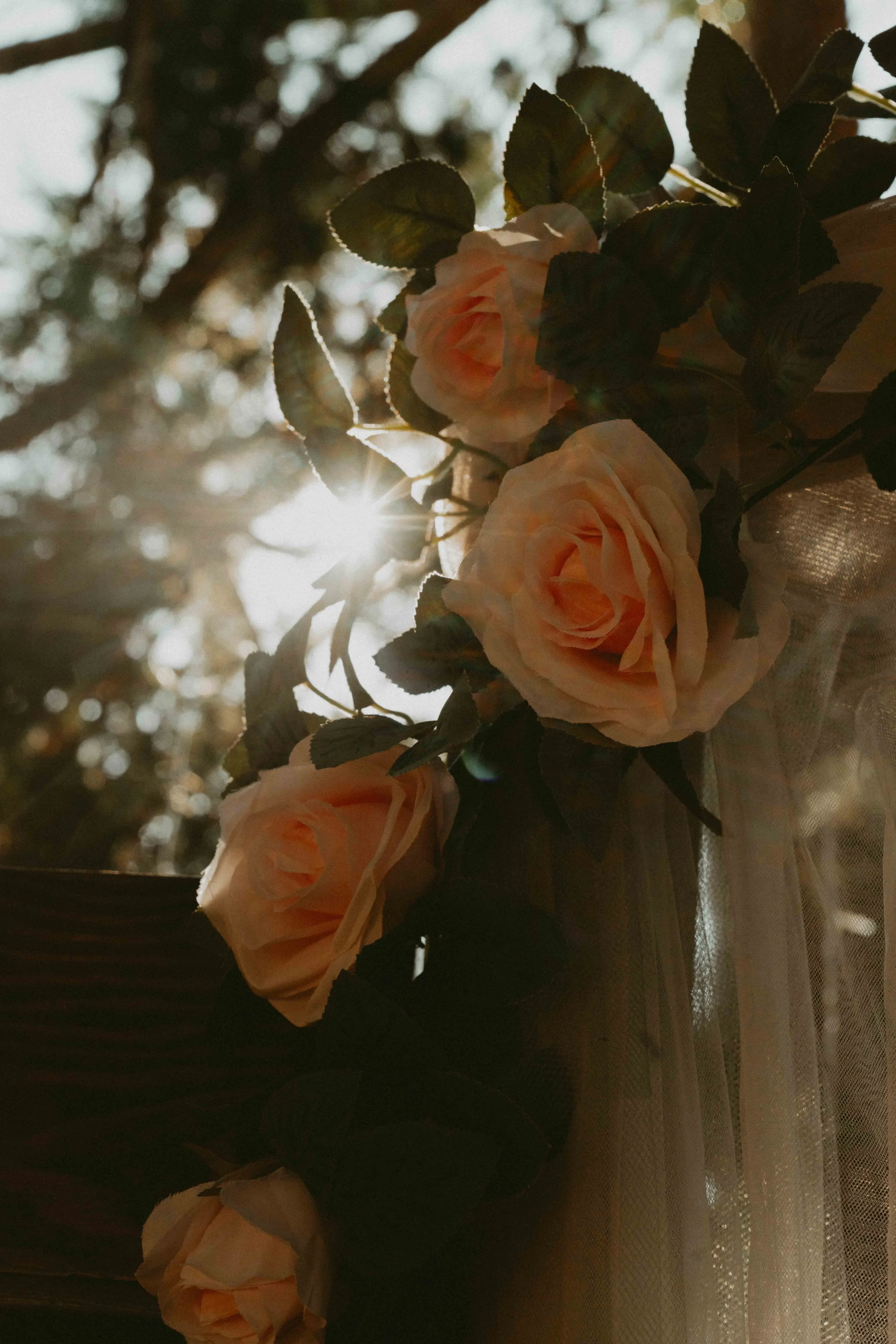 KDPV_092025_Murray Wedding_009.jpg