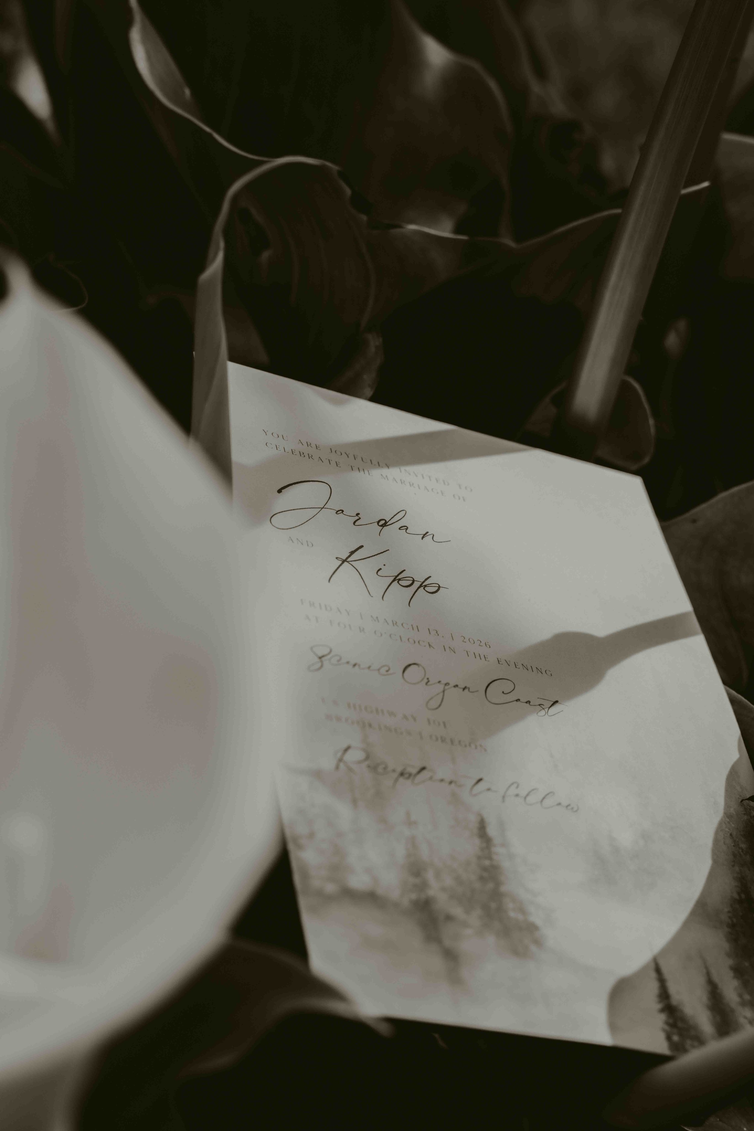 031326_Maddox Elopement_KD Set_025.jpg