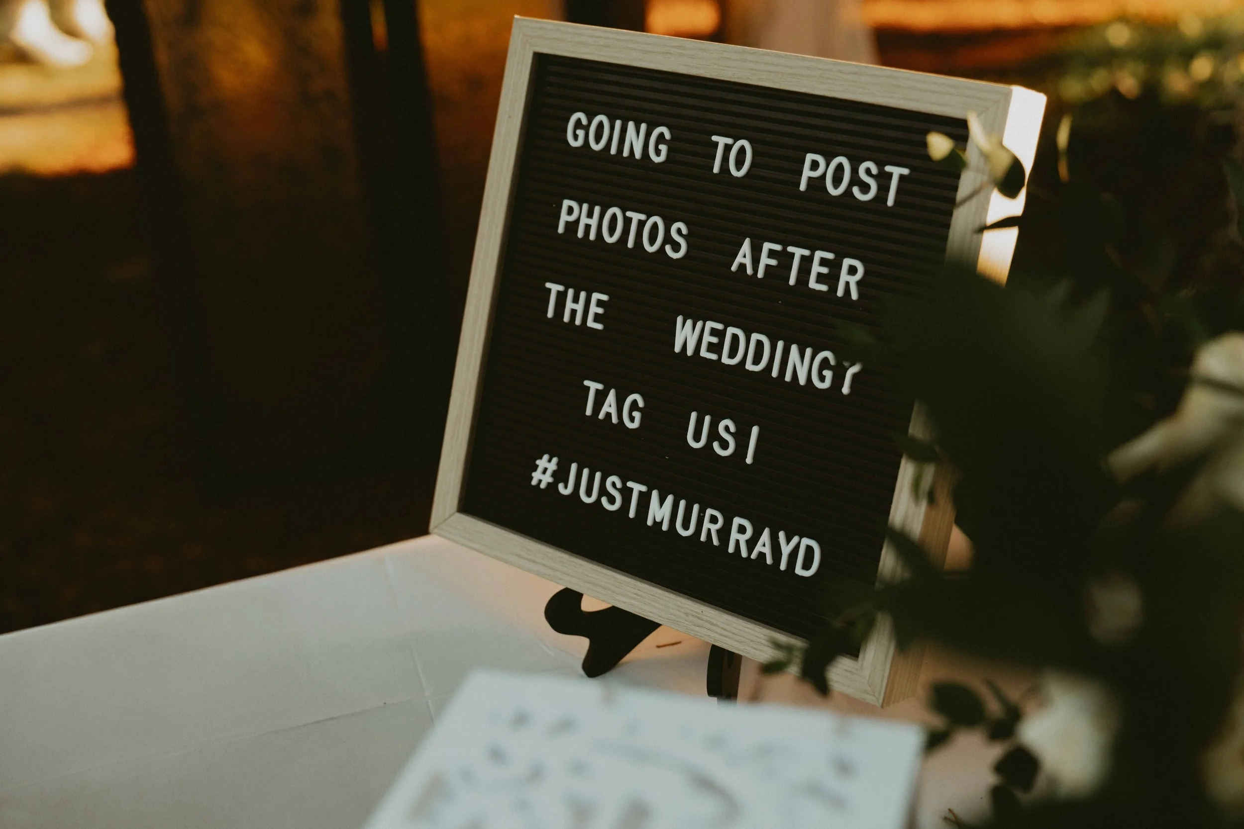 KDPV_092025_Murray Wedding_044.jpg